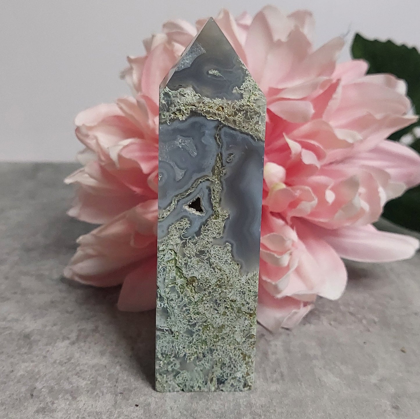 Torni, Sammalakaatti 11,5cm
