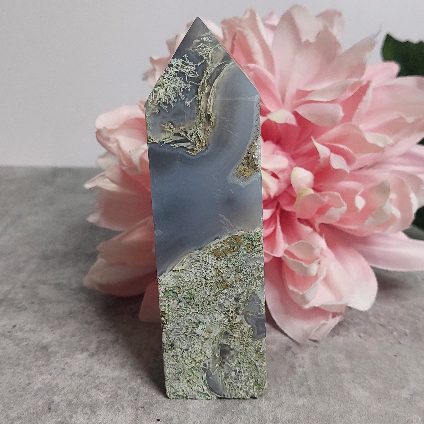 Torni, Sammalakaatti 11,5cm