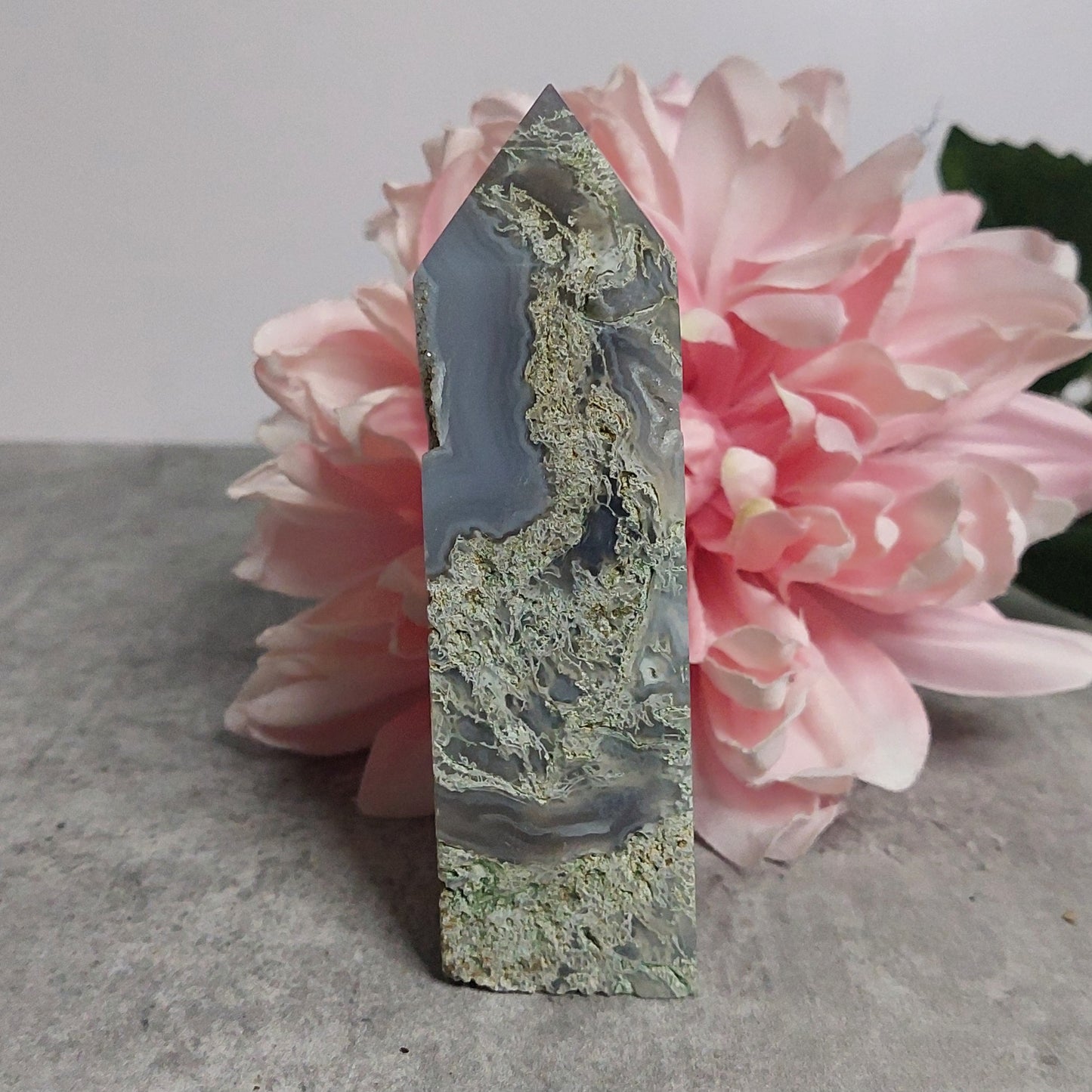 Torni, Sammalakaatti 11,5cm