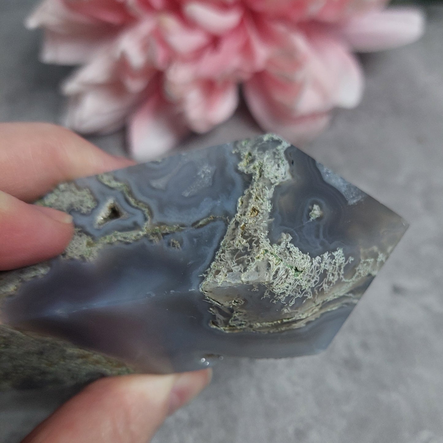 Torni, Sammalakaatti 11,5cm