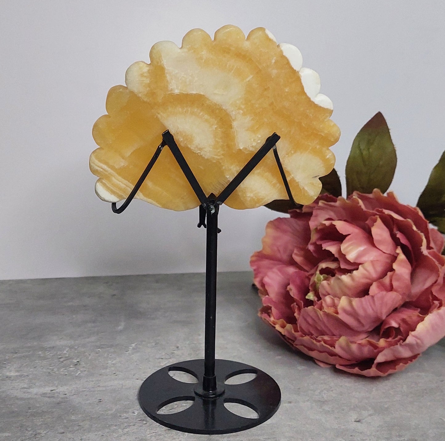 Appelsiinikalsiitti riikinkukko