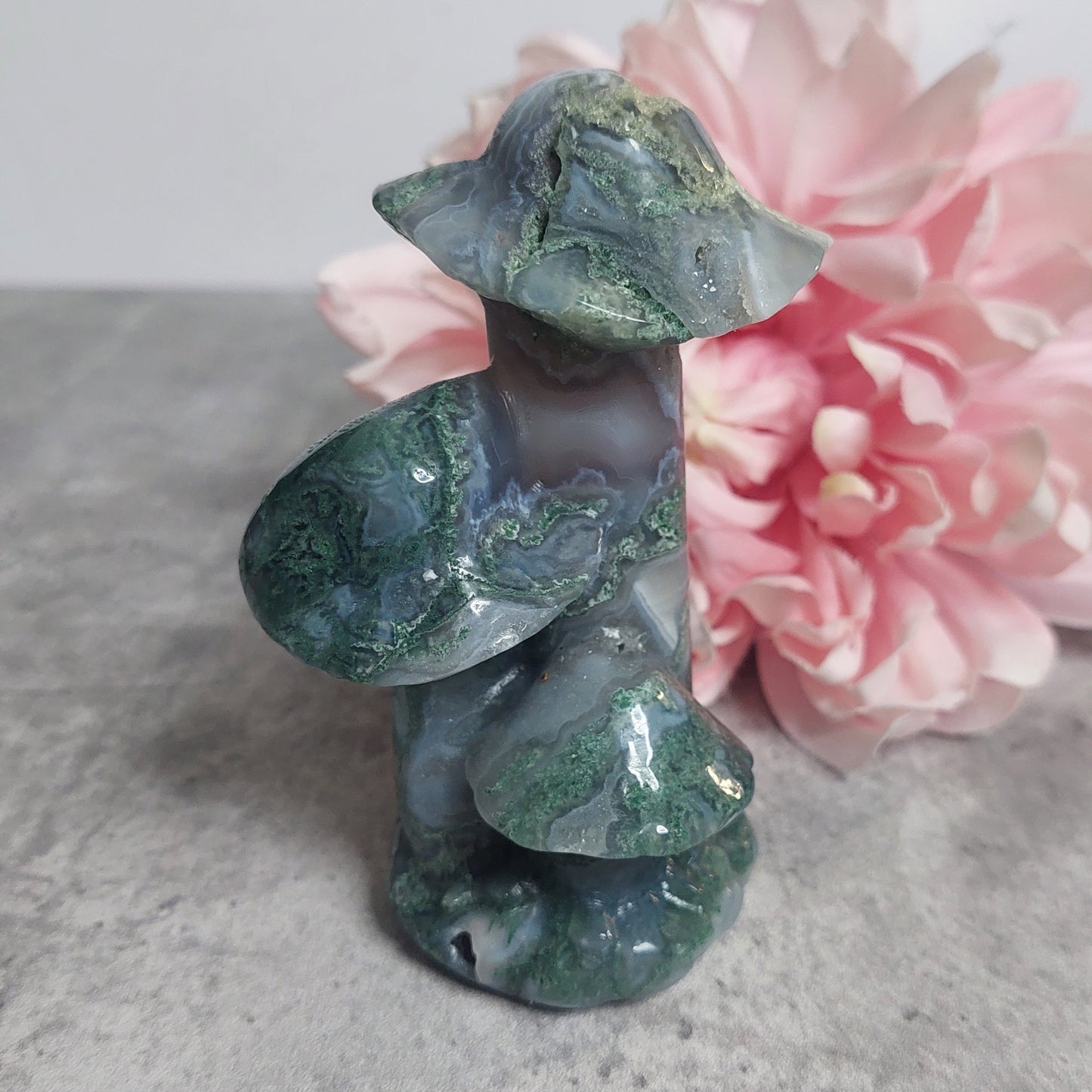 Sienet, sammalakaatti 10cm