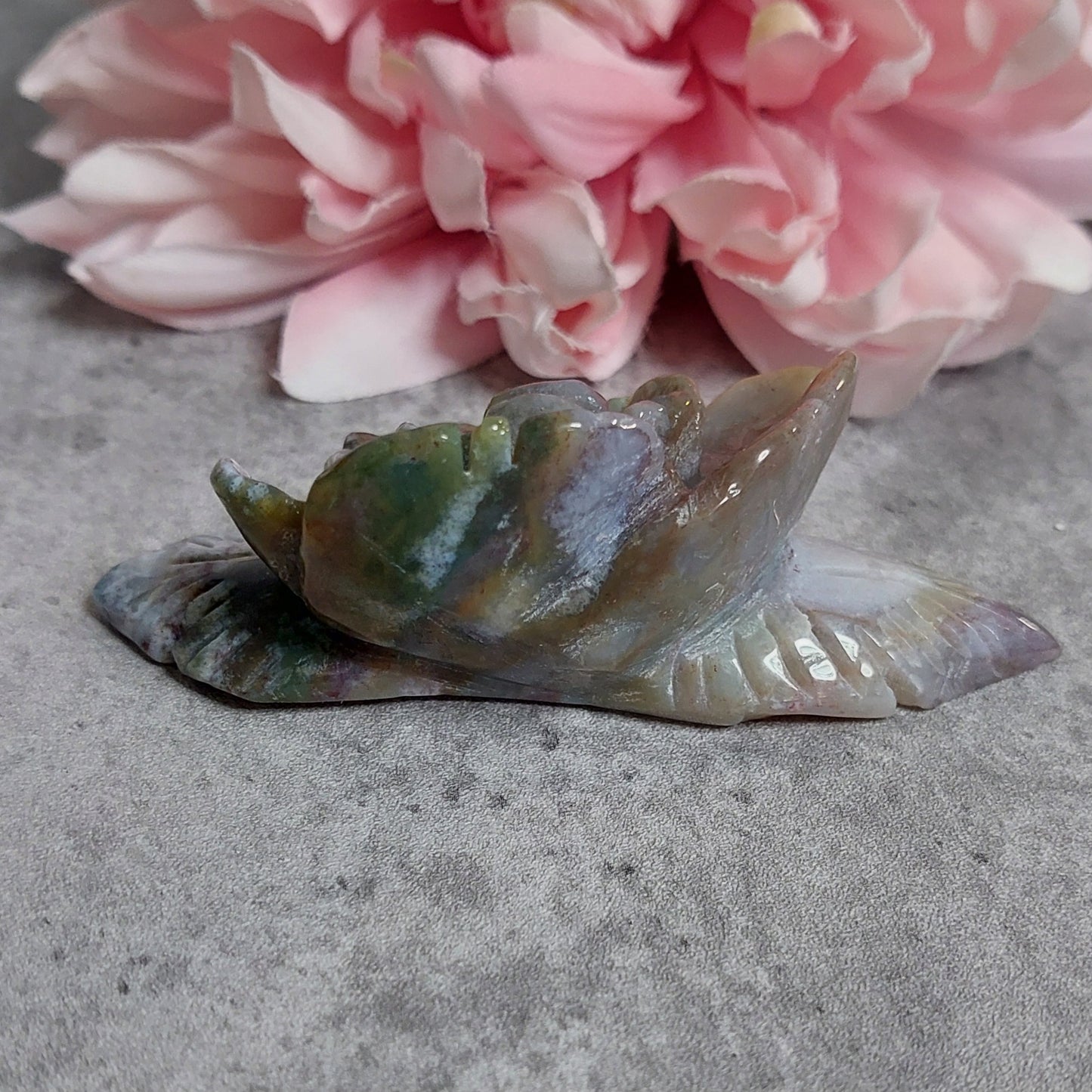 Kukka, valtamerijaspis