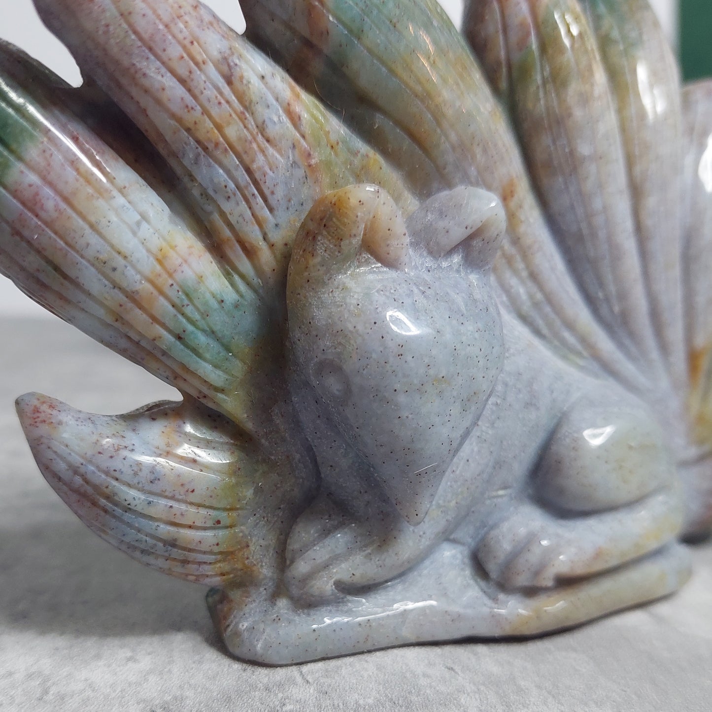 9-tail fox, valtamerijaspis