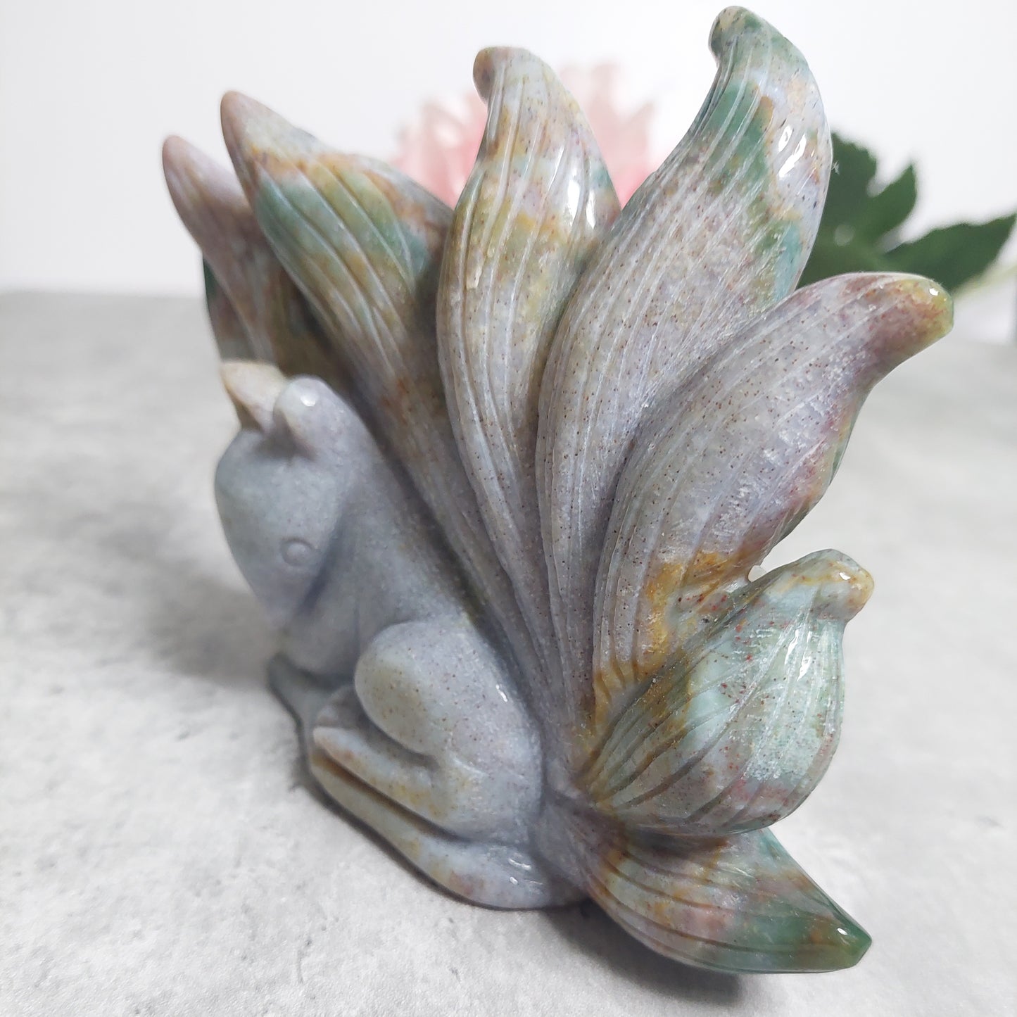 9-tail fox, valtamerijaspis