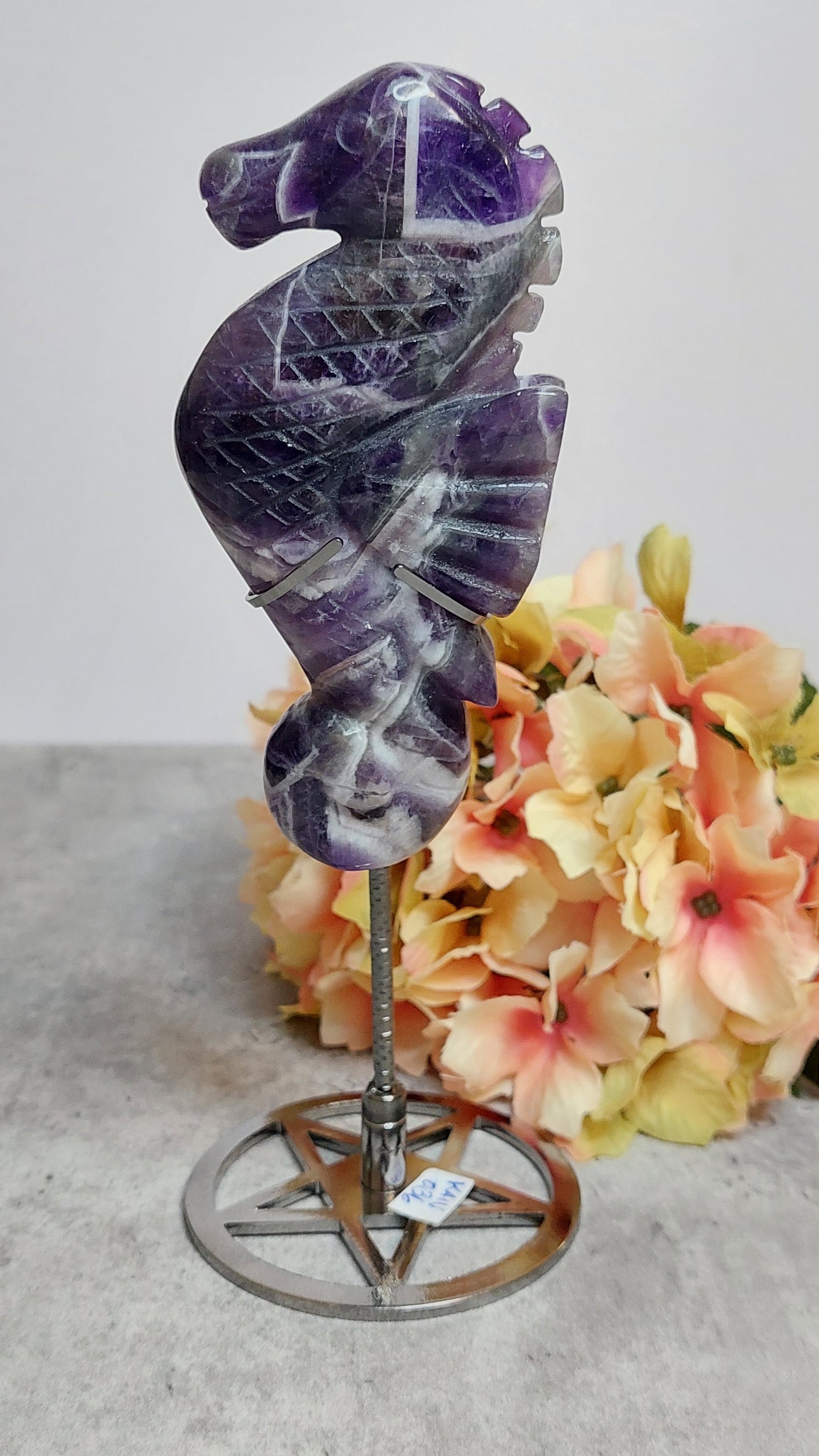 Merihevonen, dream ametisti