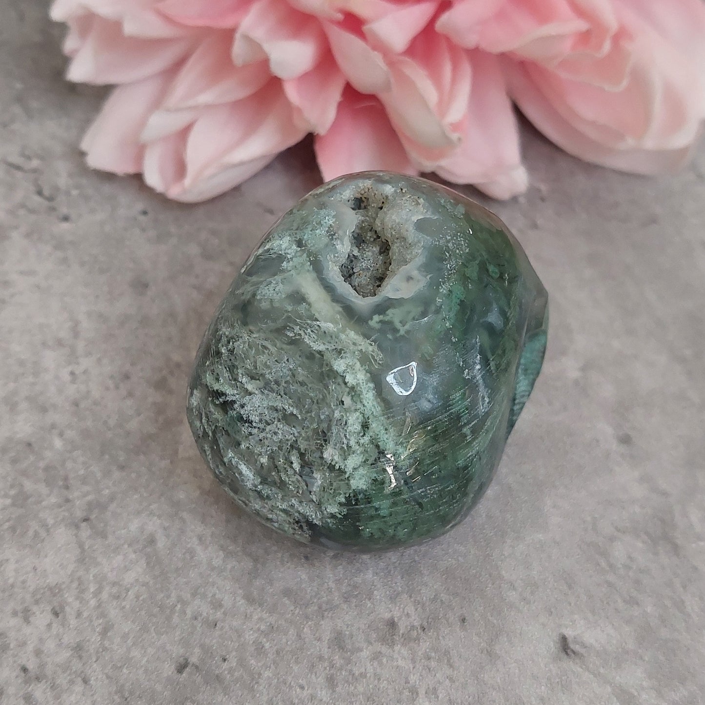 Kallo, sammalakaatti 6,5cm