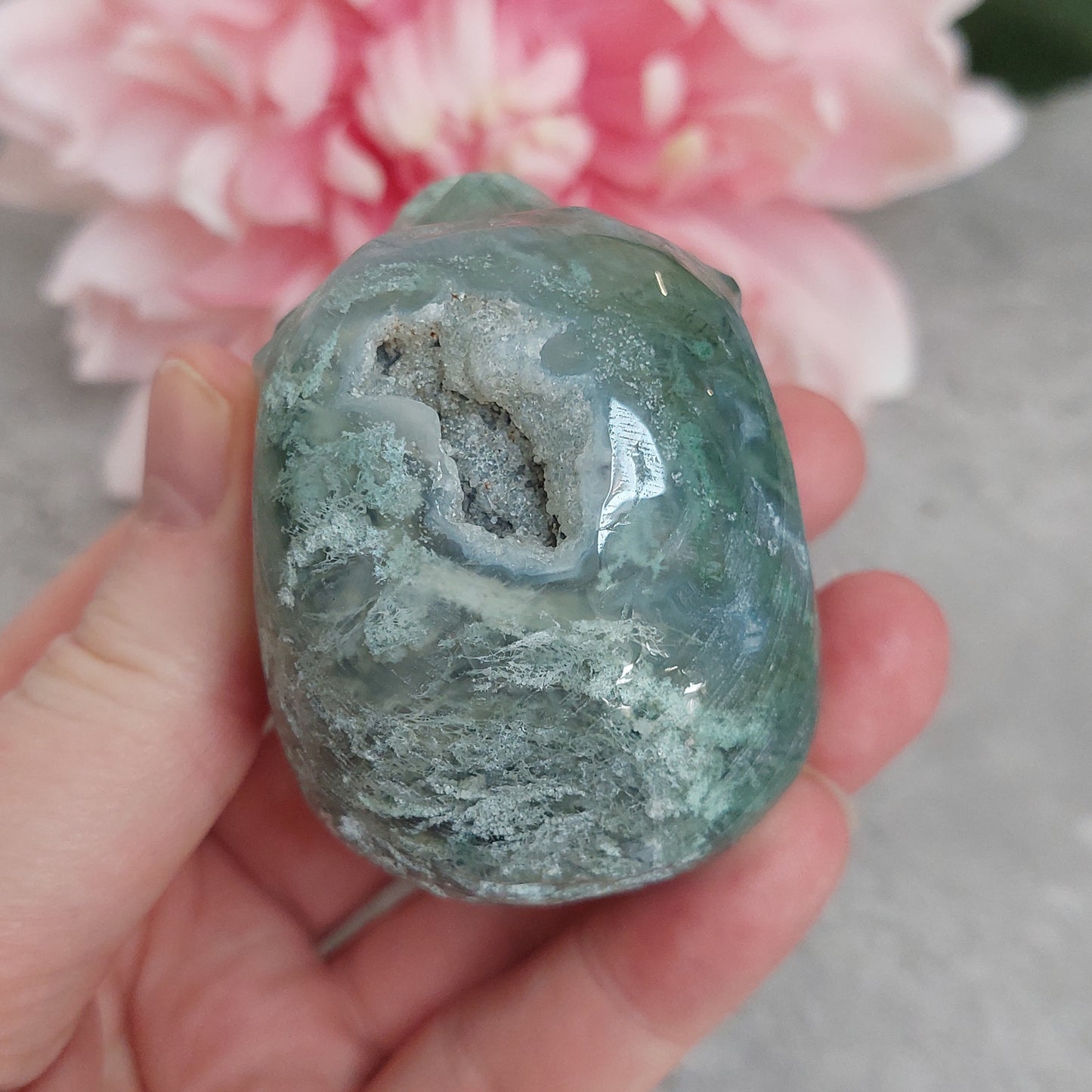 Kallo, sammalakaatti 6,5cm