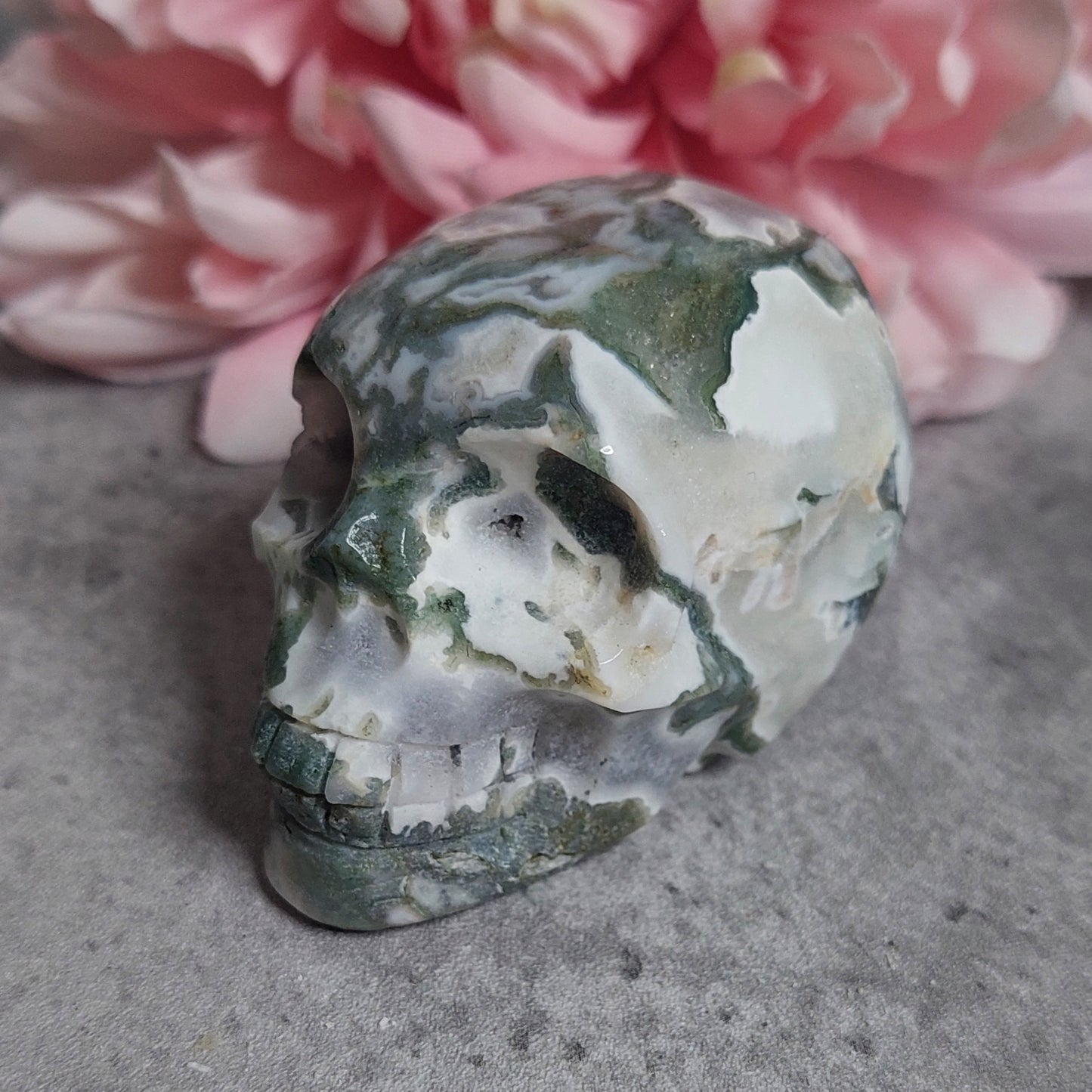 Kallo, sammalakaatti 6,5cm