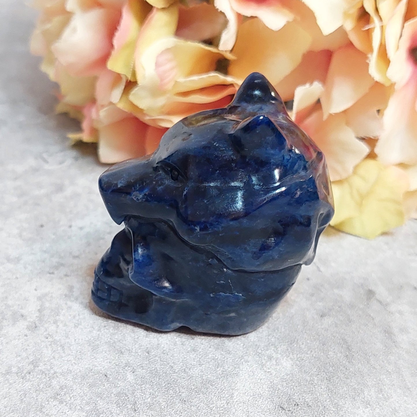 Susi-kallo, sodaliitti