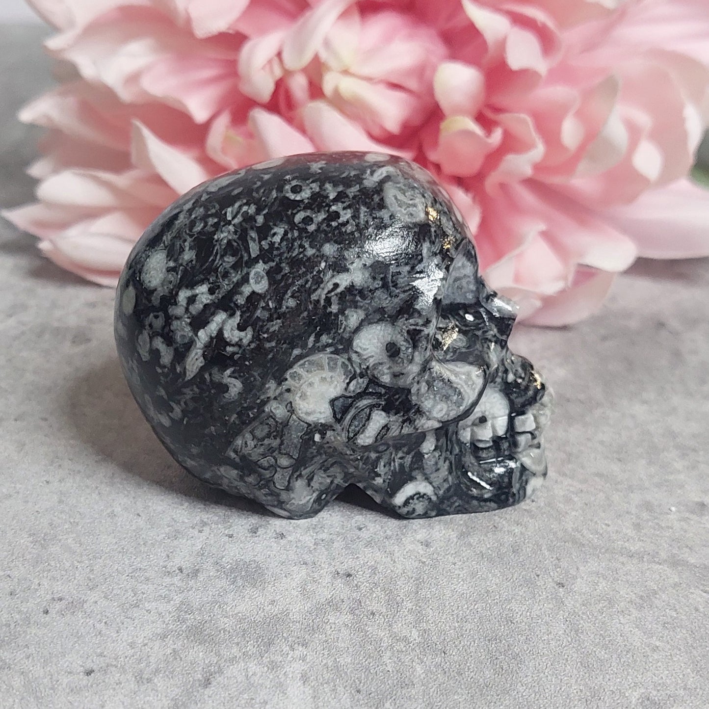 Kallo, simpukkajaspis