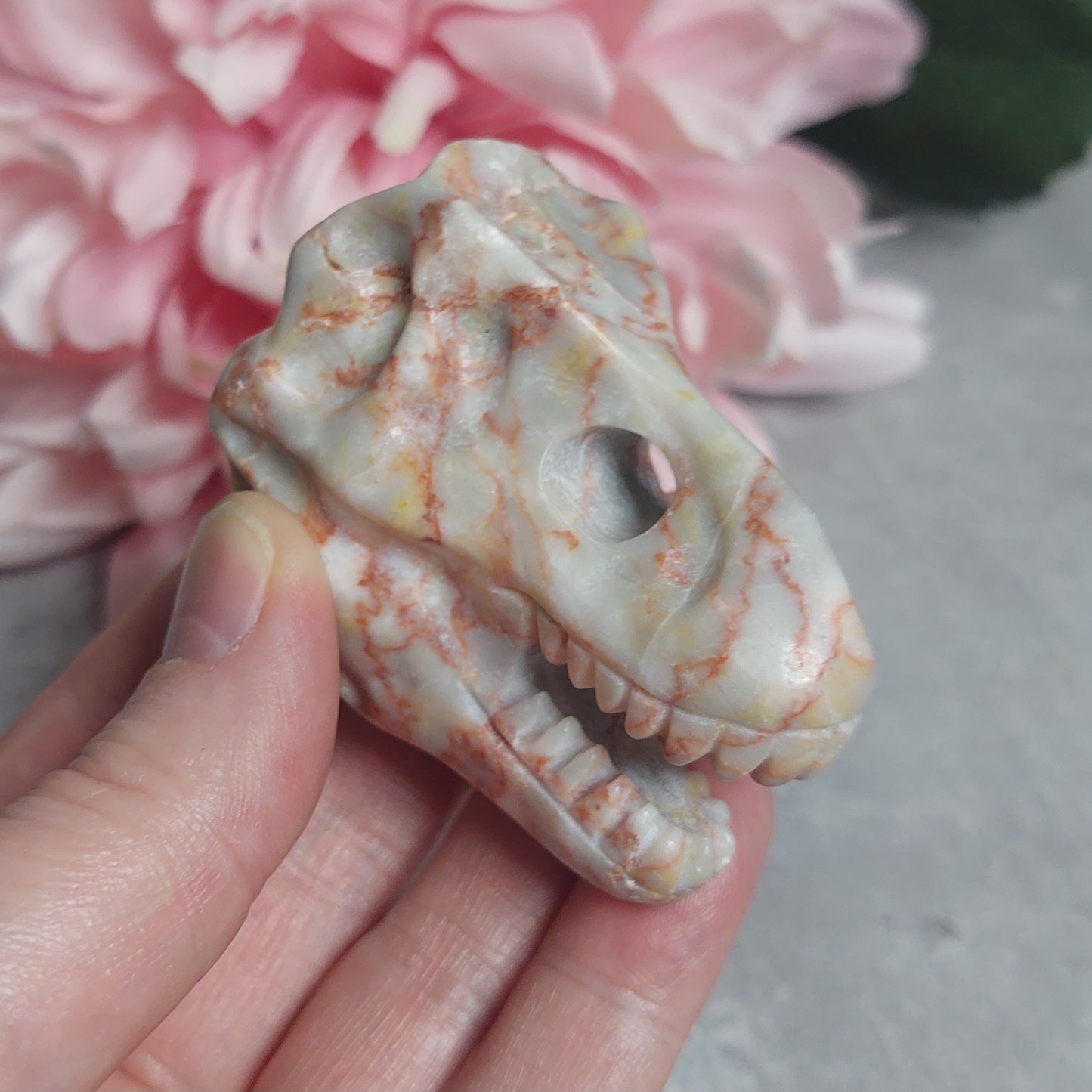 Kallo, T-rex verisuonijaspis