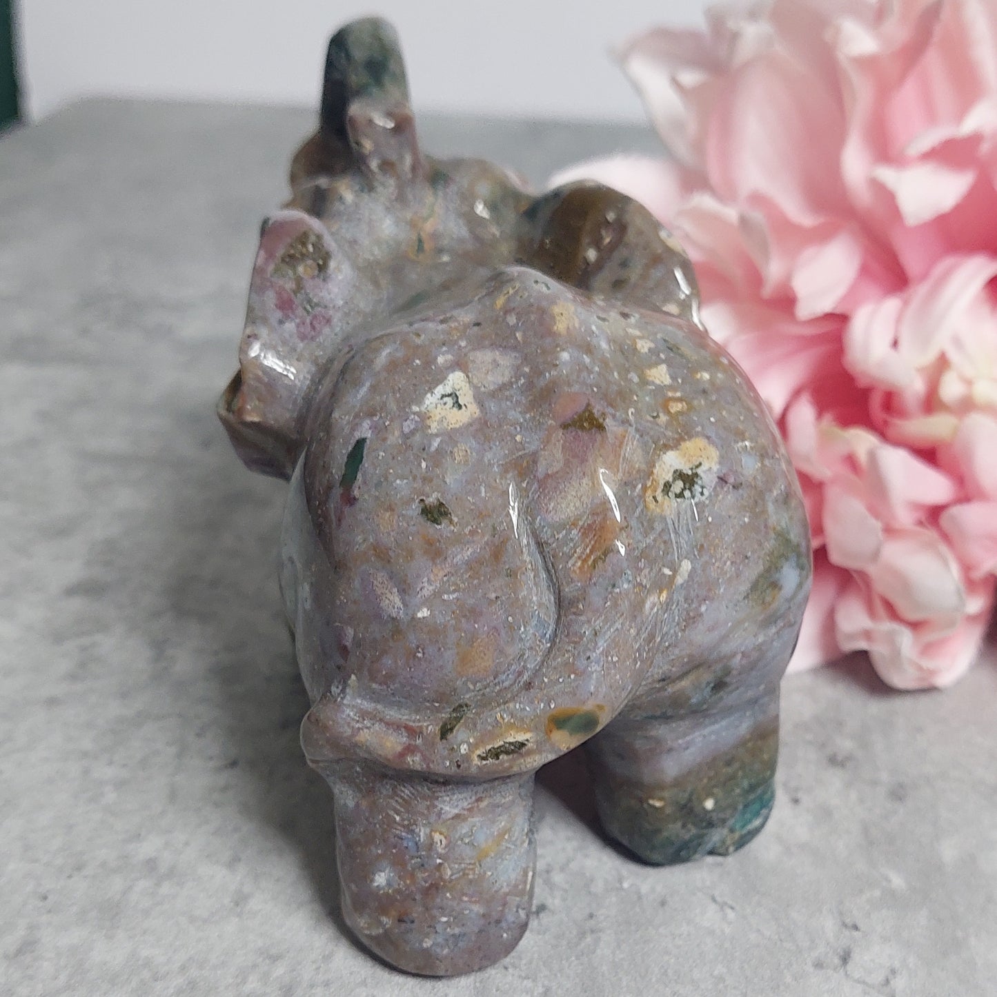 Norsu, valtamerijaspi JÄTTI