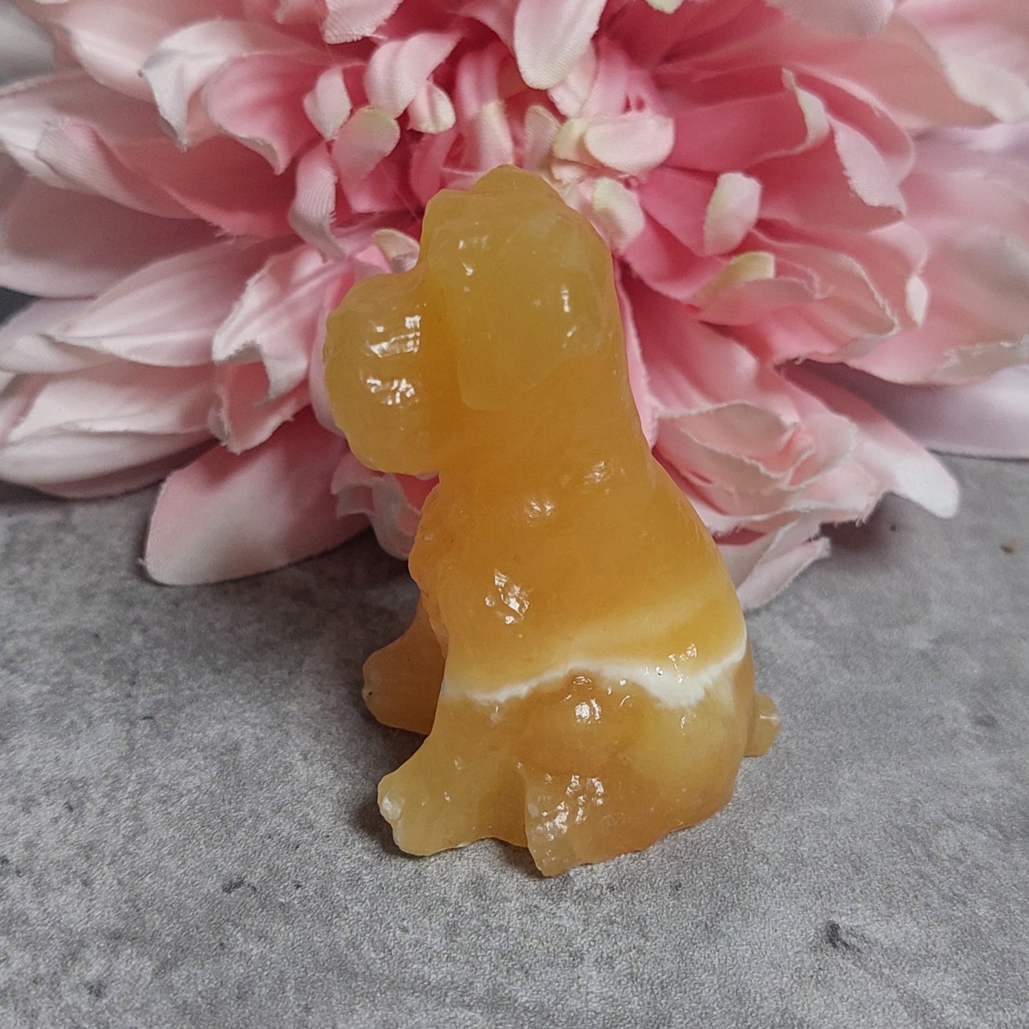 Koira, appelsiinikalsiitti