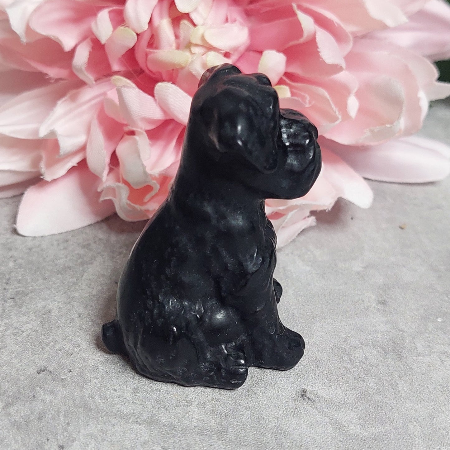 Koira, obsidiaani