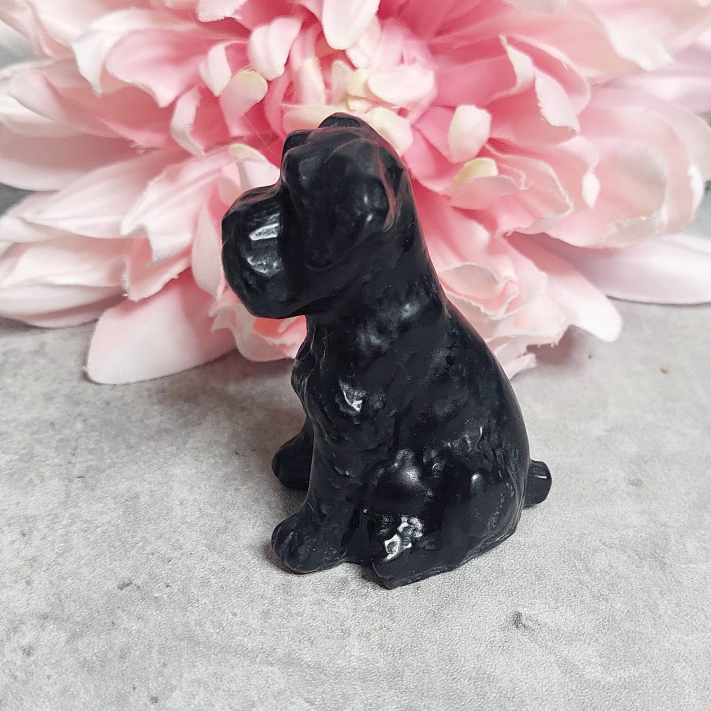 Koira, obsidiaani