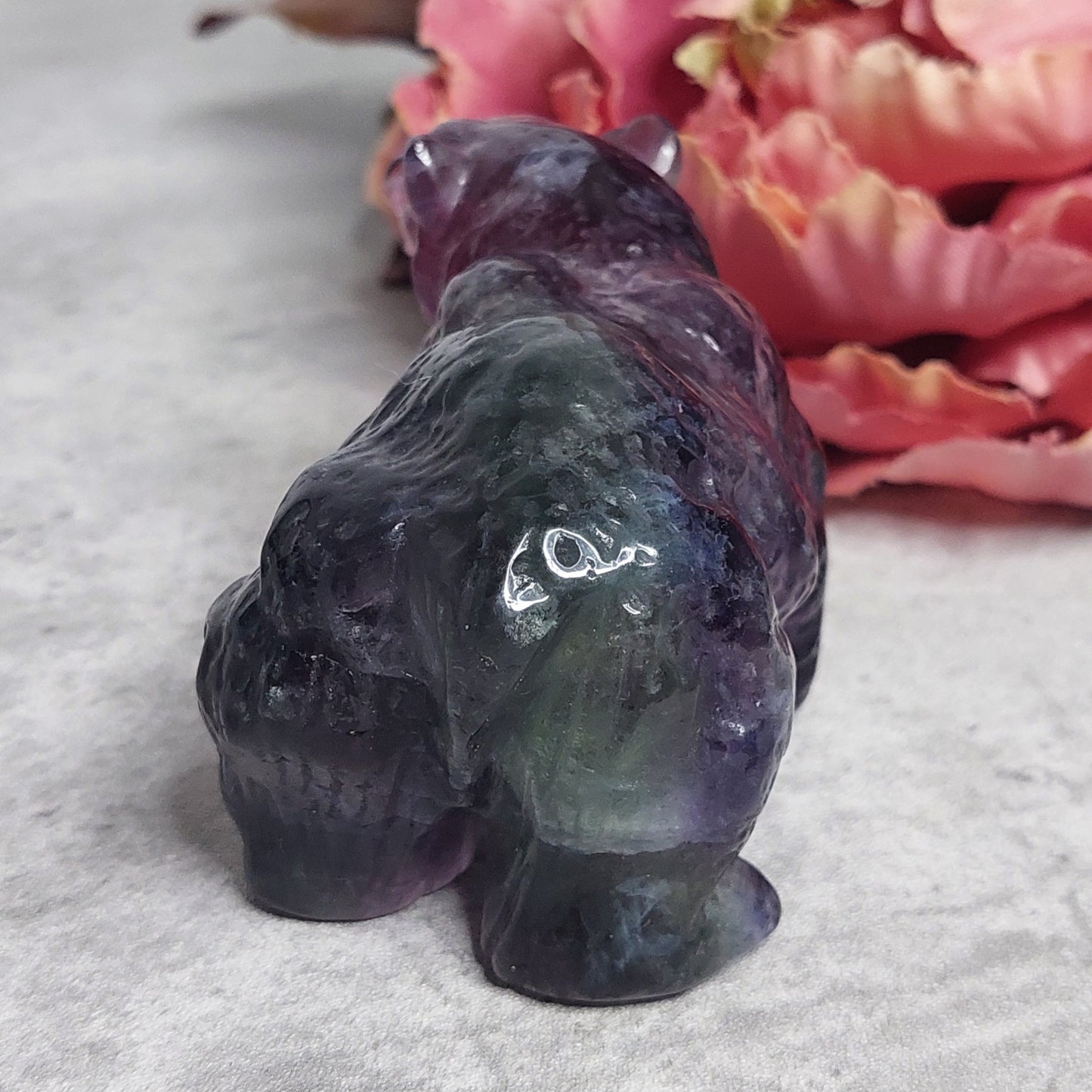 Fluoriitti karhu tumma monivärinen