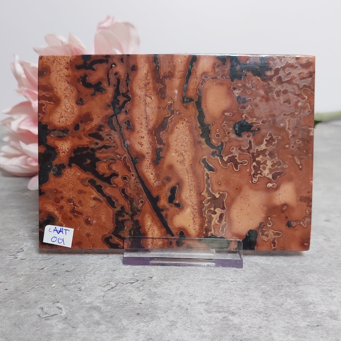 Picture jasper laatta
