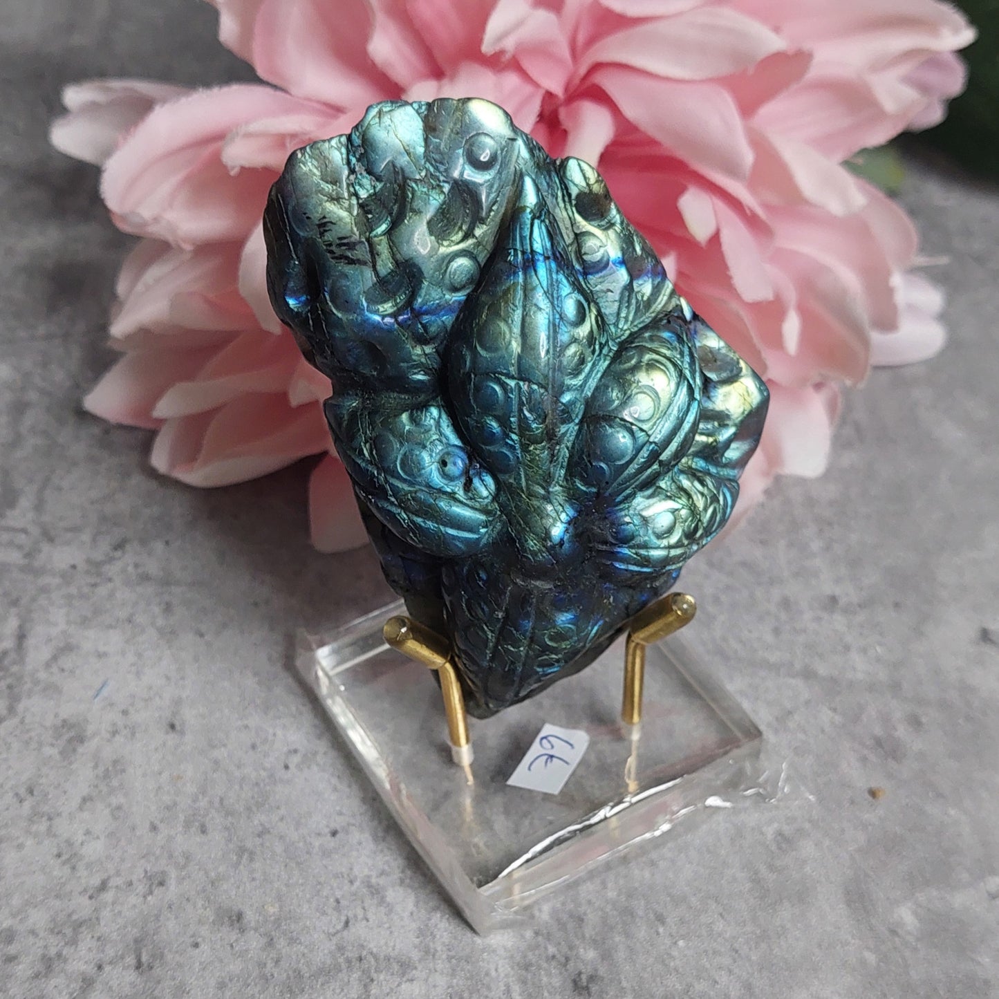 Meritähti, labradoriitti