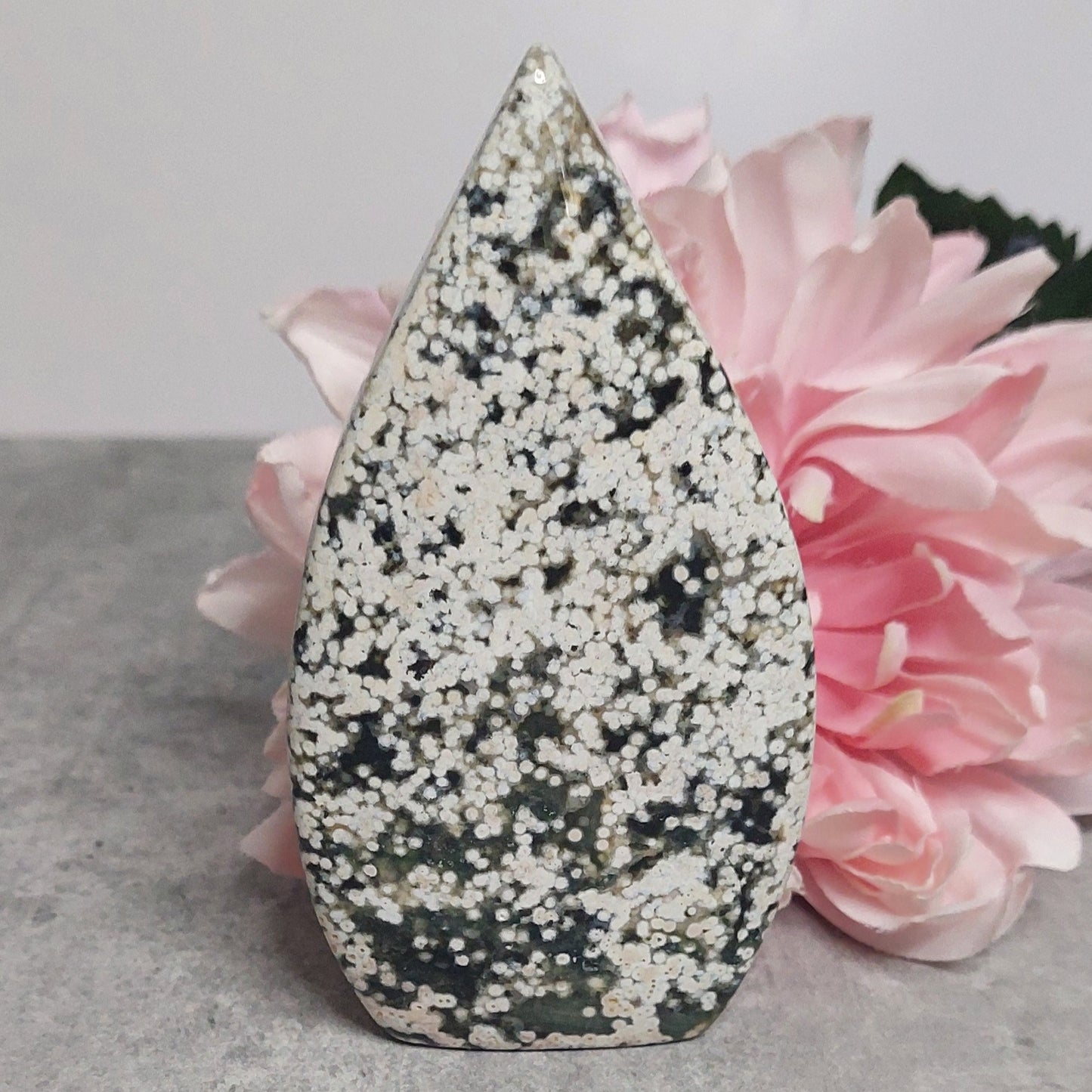 Lehti, pilkullinen valtamerijaspis 12cm
