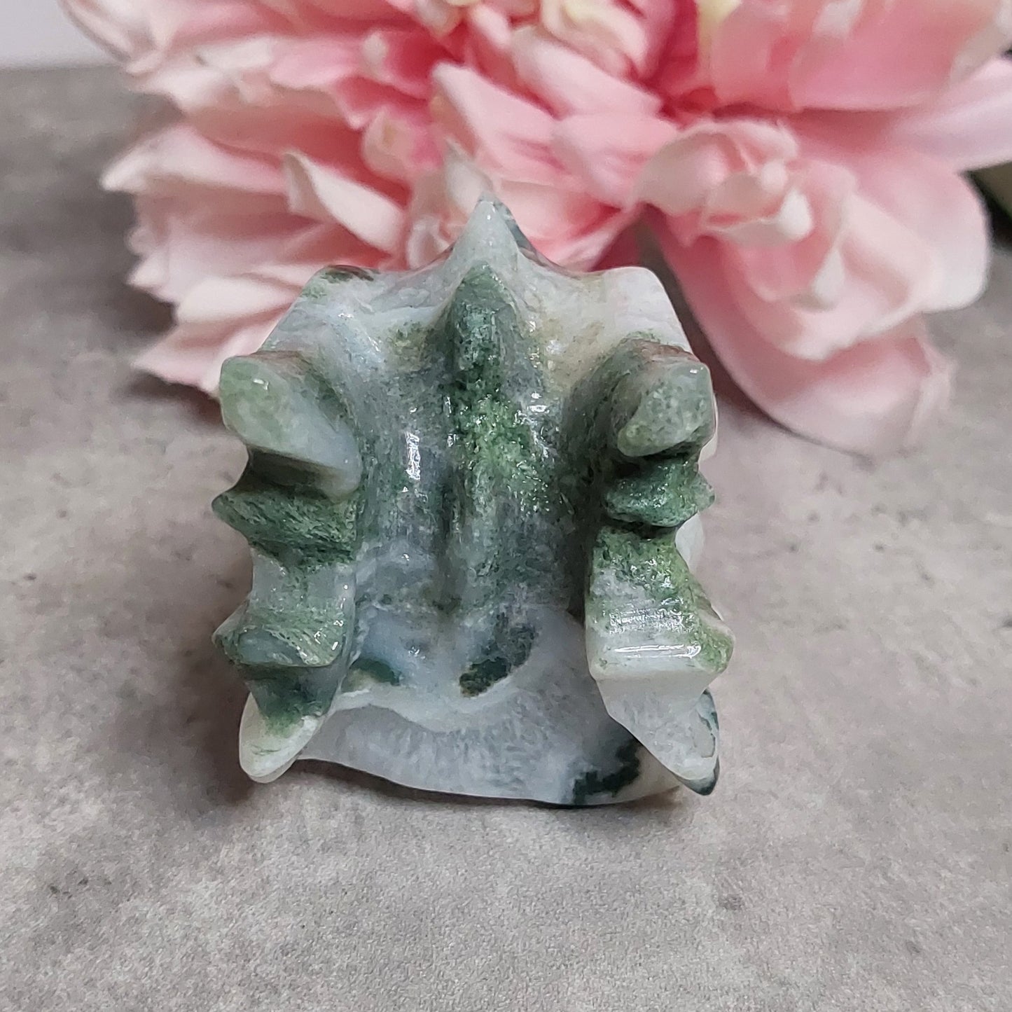 Lohis, sammalakaatti 10cm