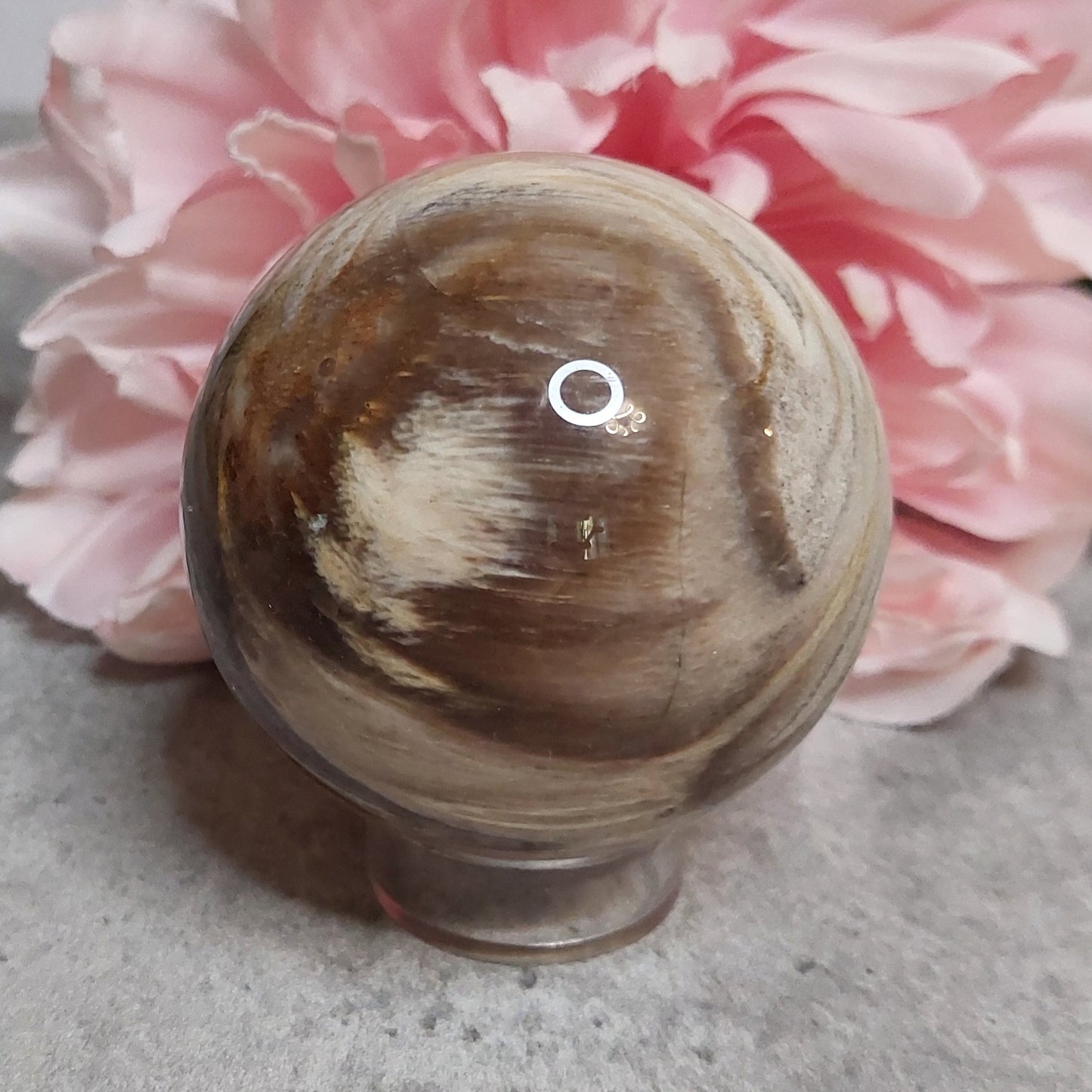 Pallo, kivettynyt puu 6,3cm