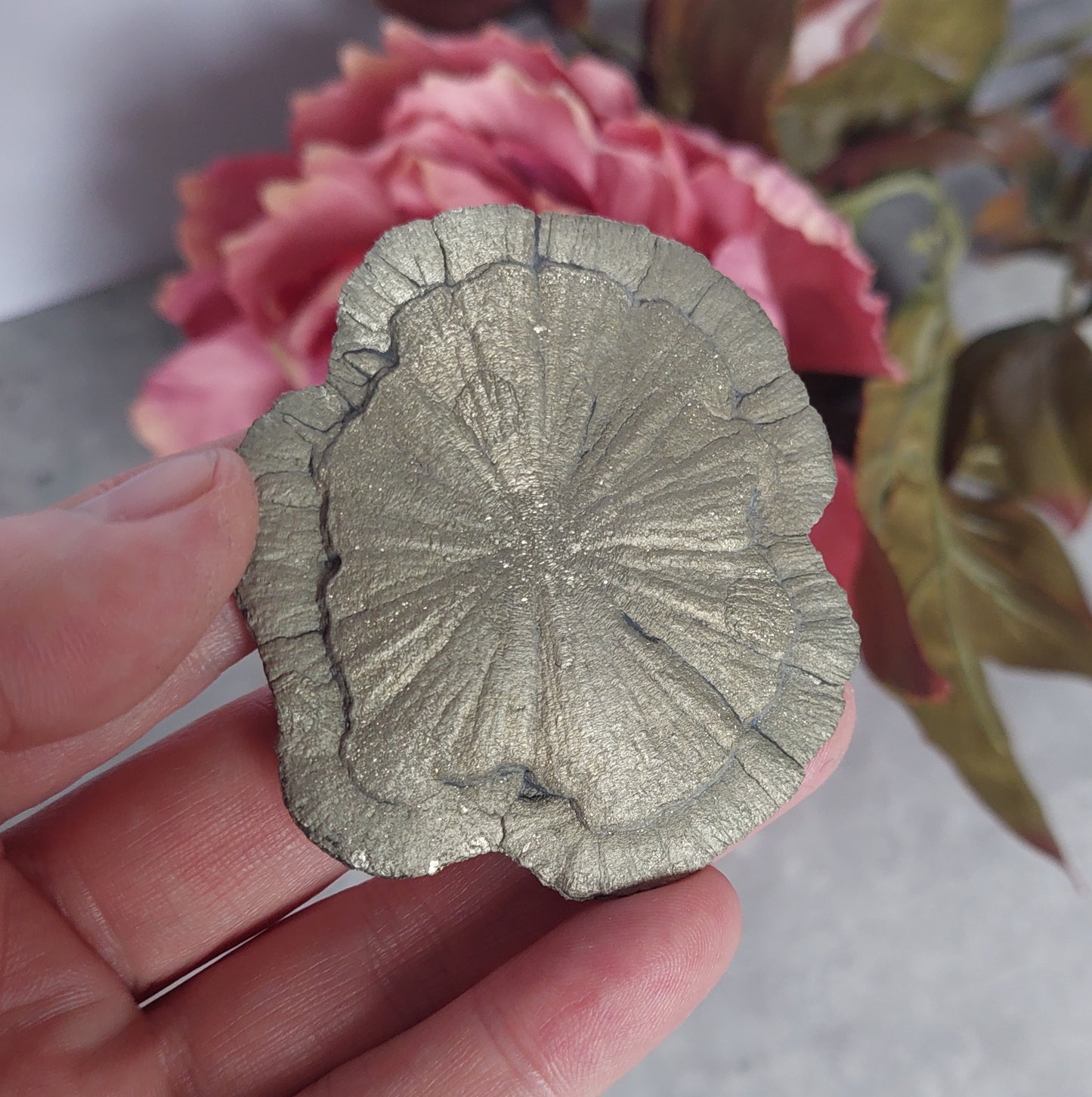 Pyriitti "Sun Dollar"