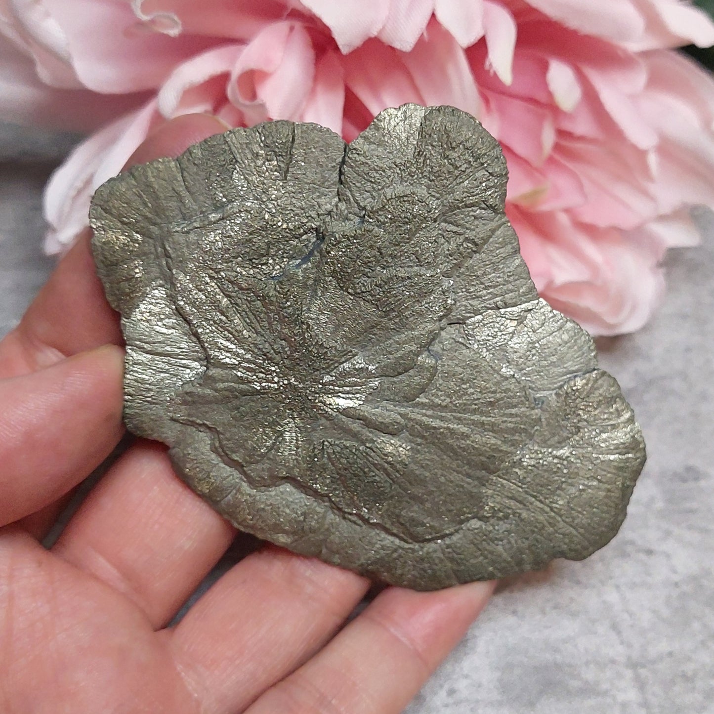 Pyriitti "Sun Dollar"
