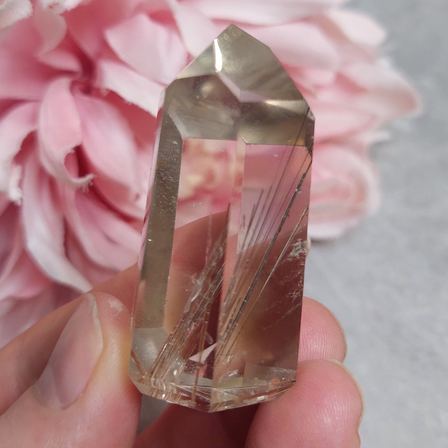 Torni, rutiili Brasilia 4,5cm