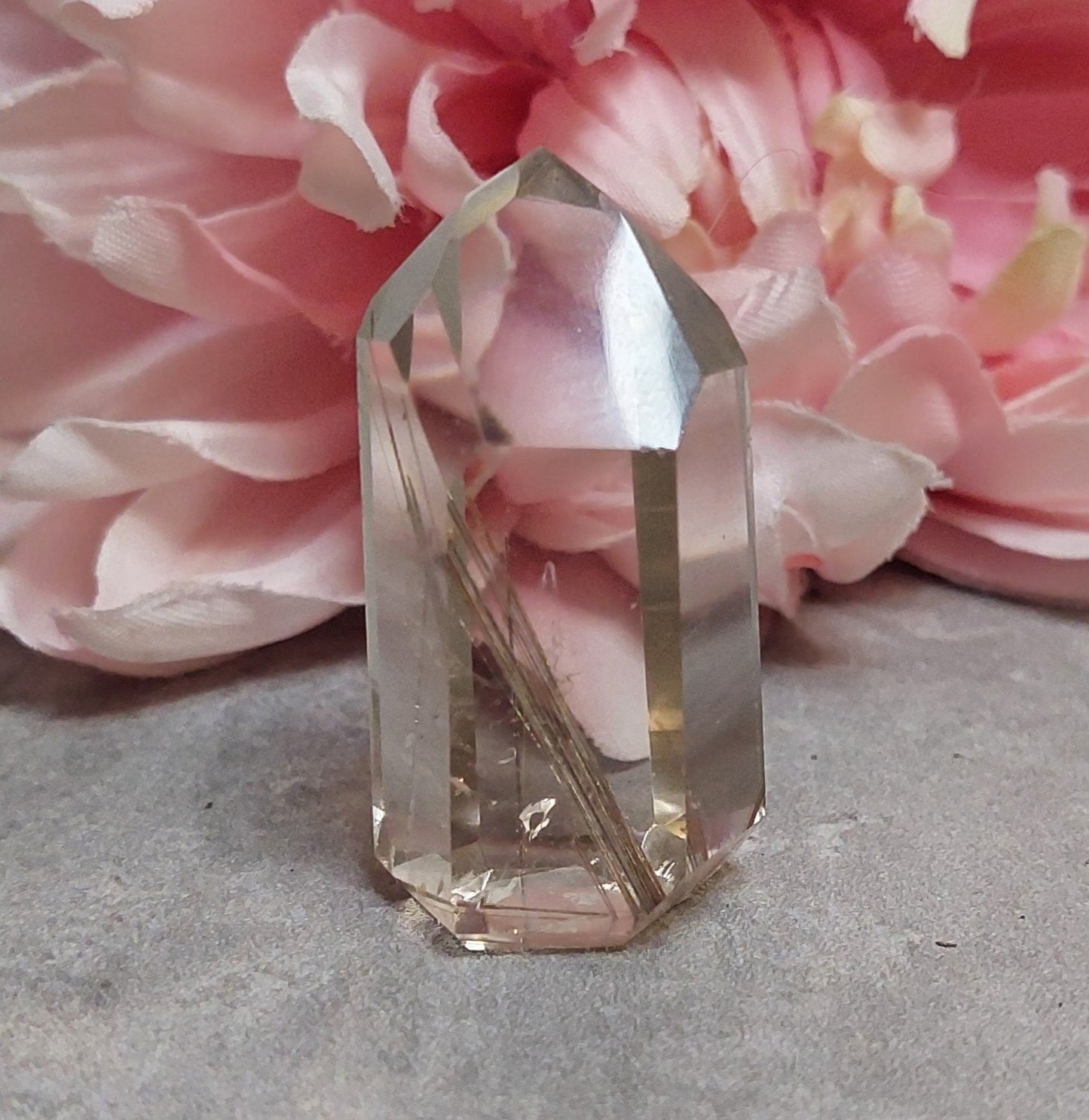 Torni, rutiili Brasilia 4,5cm