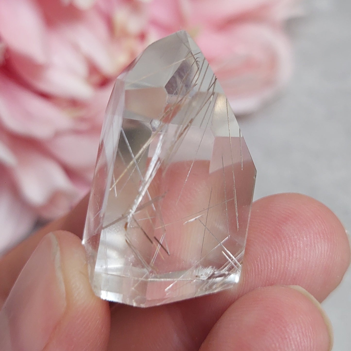 Torni, rutiili Brasilia 3cm