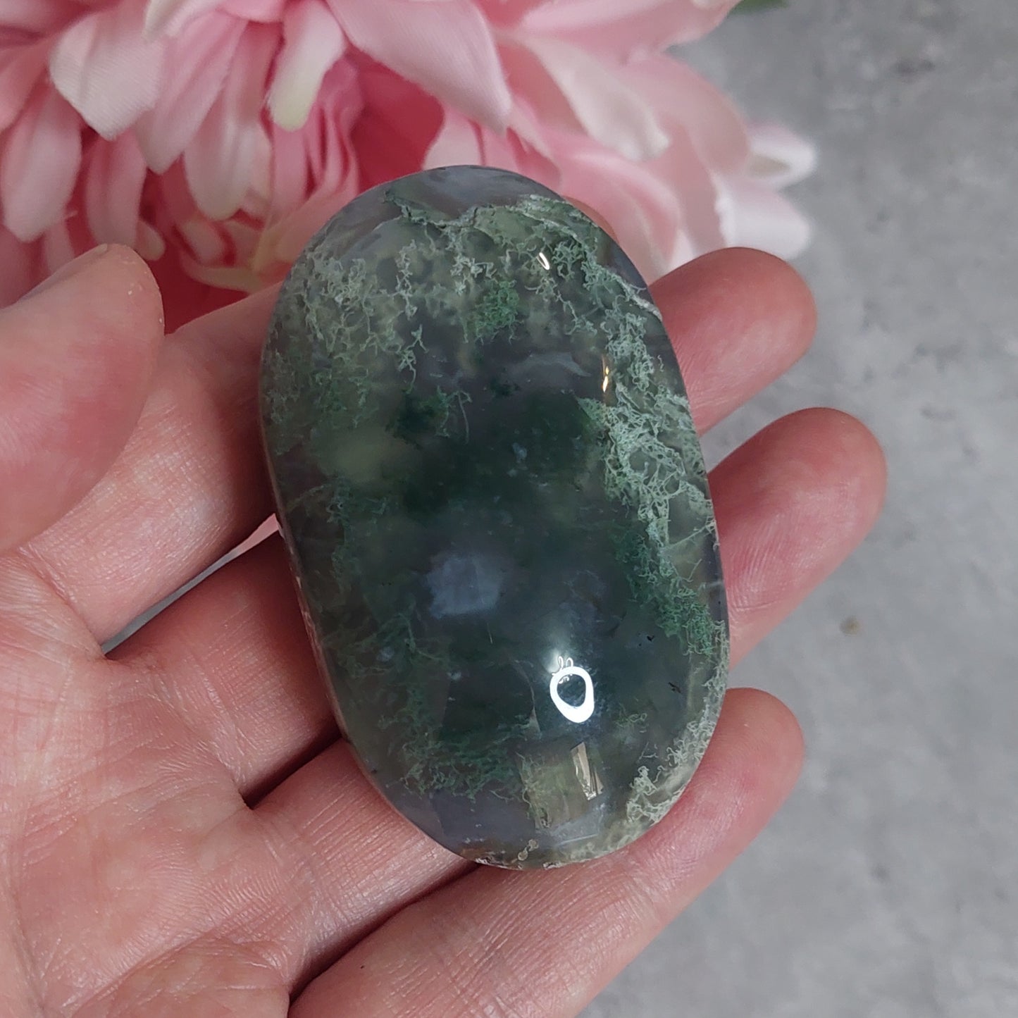 Kämmenkivi, sammalakaatti