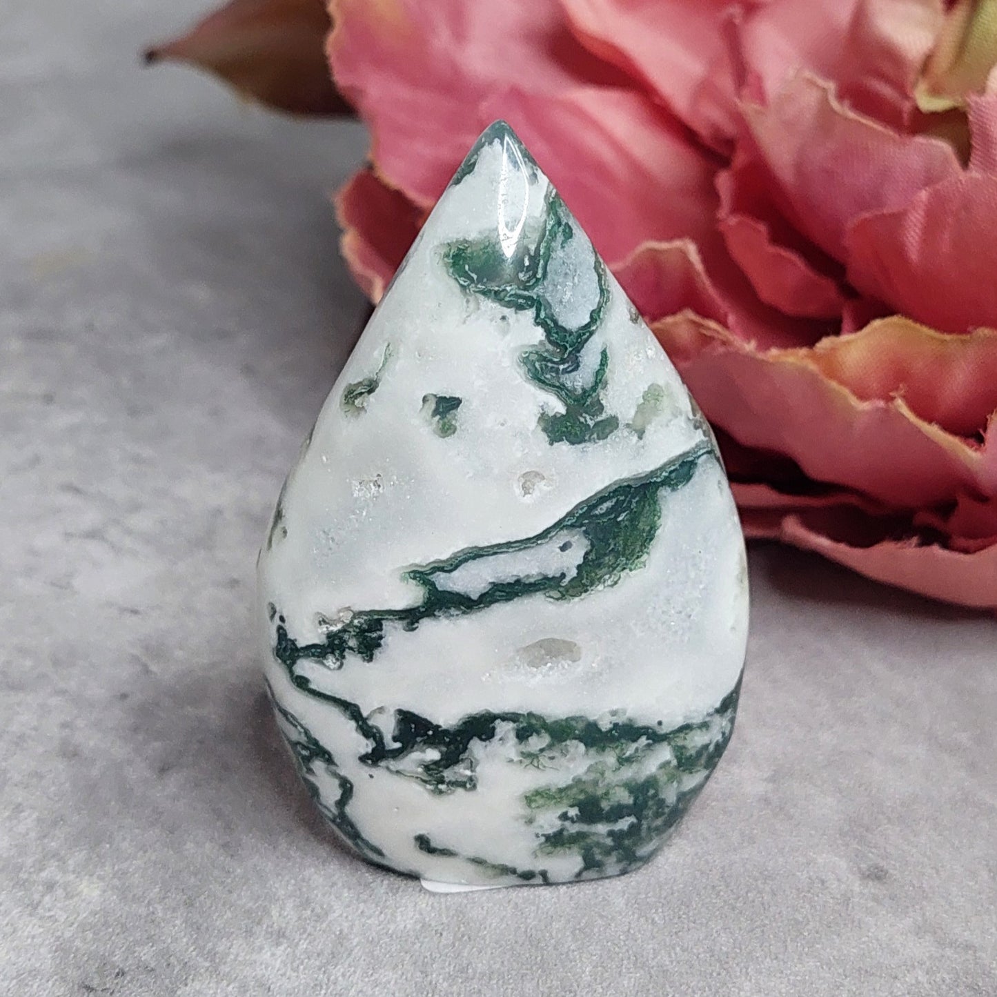 Sammalakaatti lehti, pieni