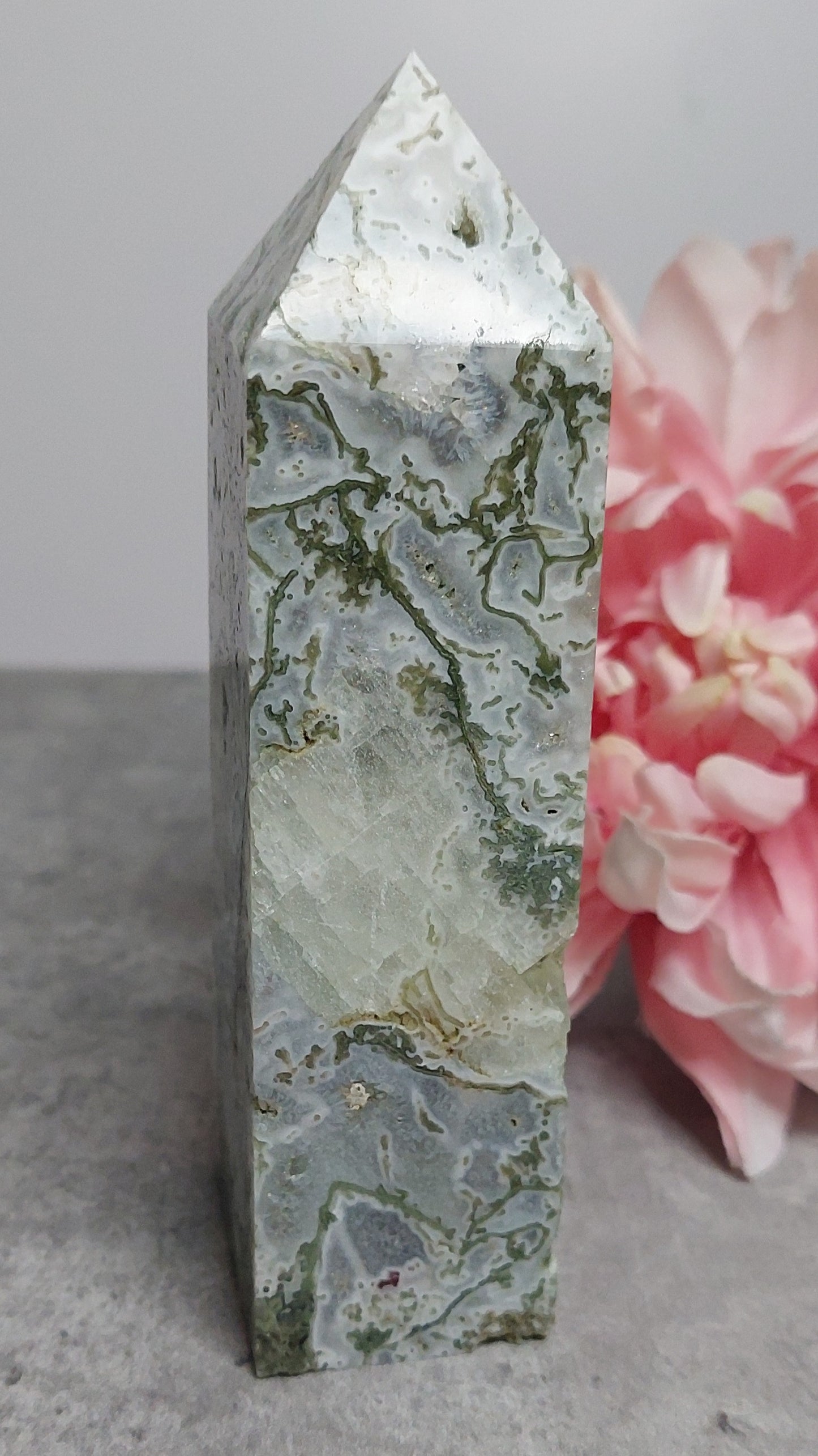 Torni, Sammalakaatti 13,5cm