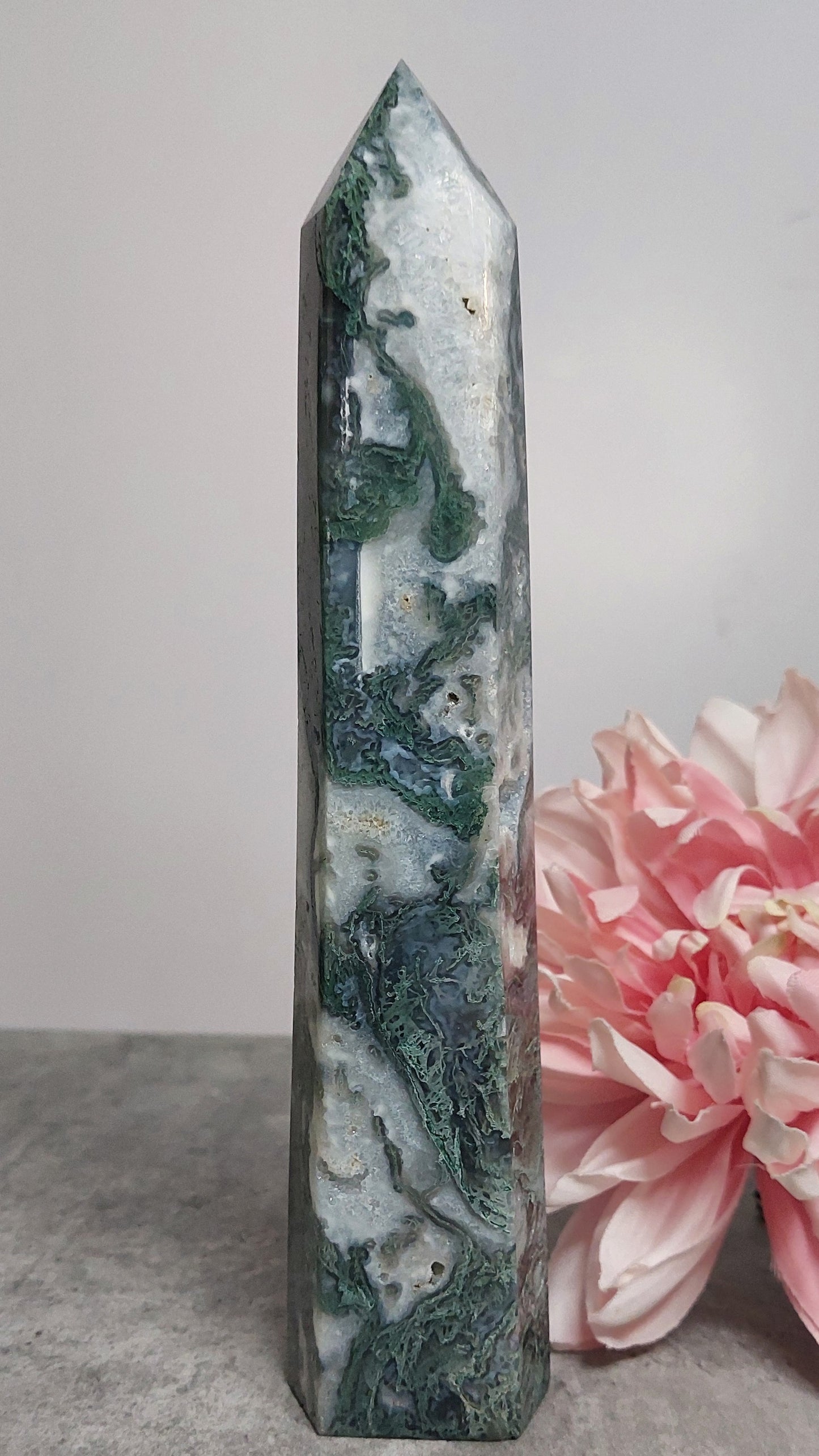Torni, sammalakaatti 23cm