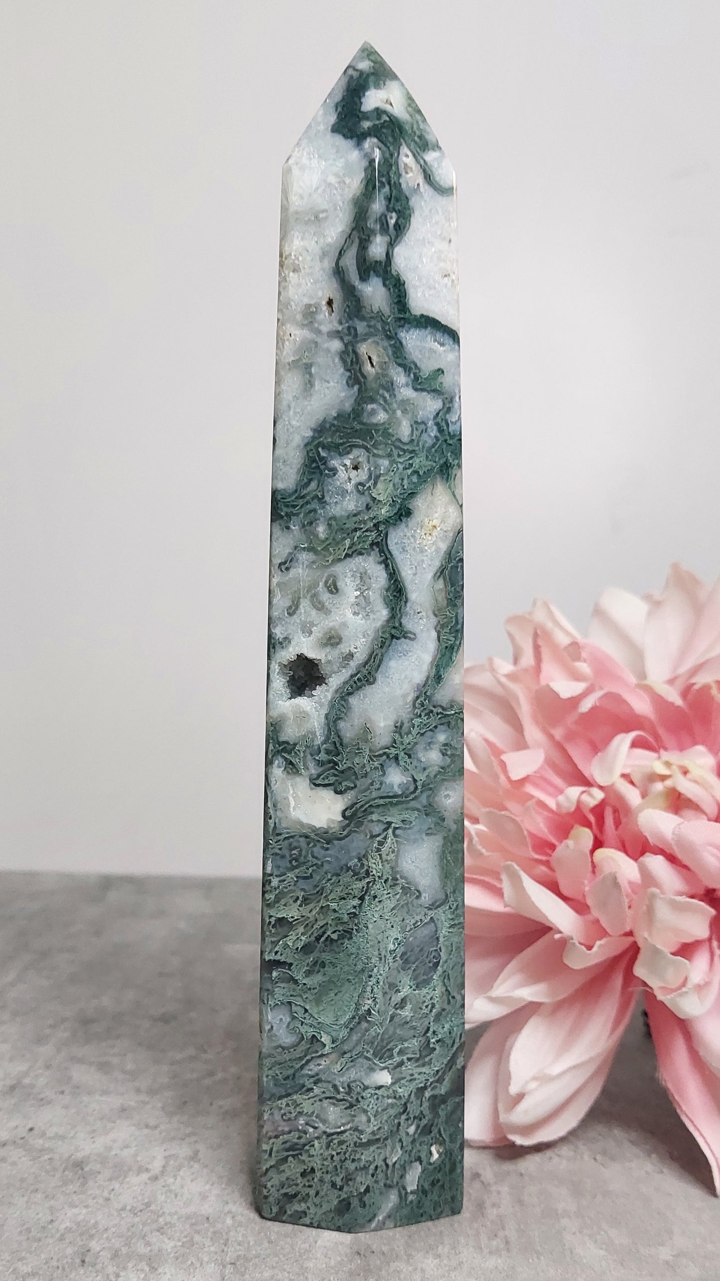 Torni, sammalakaatti 23cm