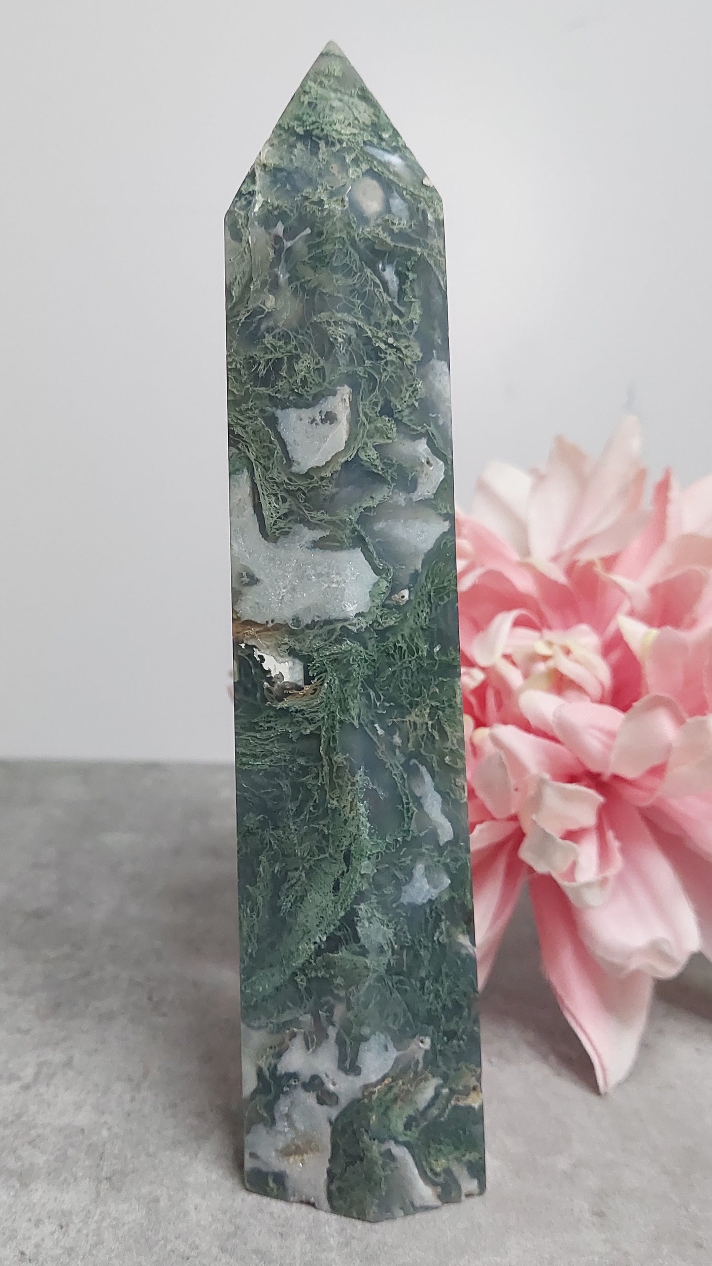 Torni, sammalakaatti 19cm