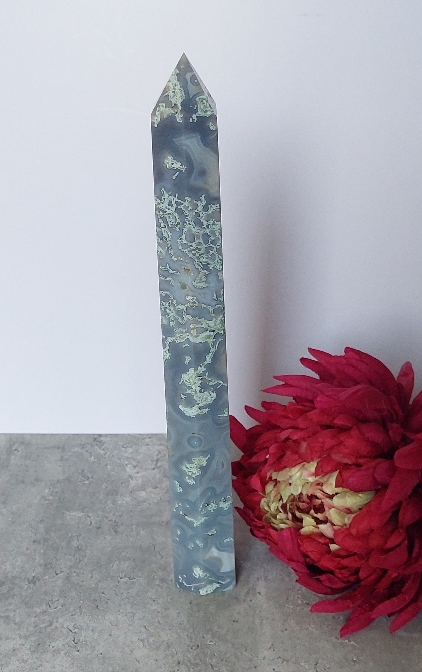 Sammalakaattitorni 31cm