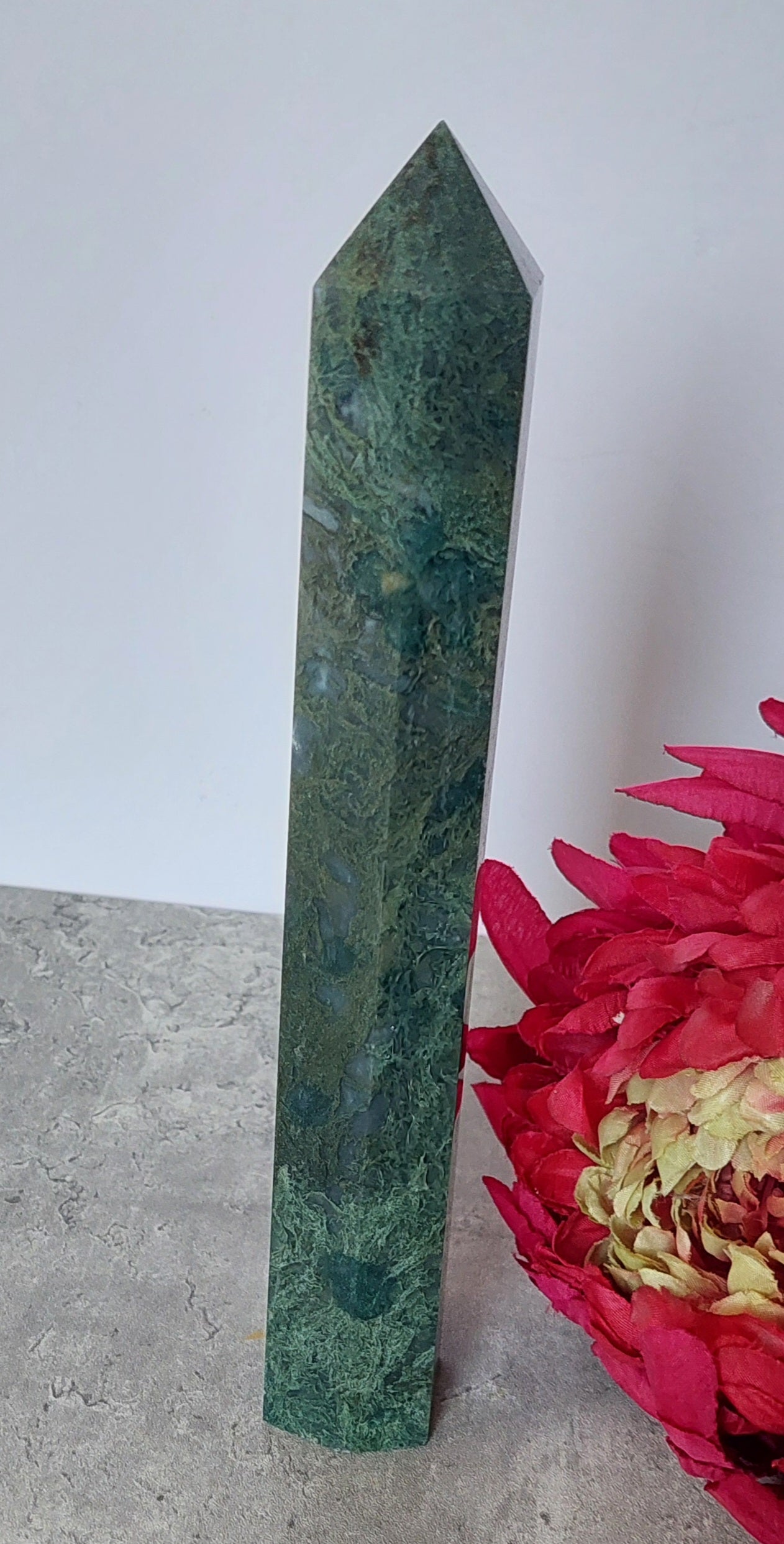Sammalakaattitorni 23cm