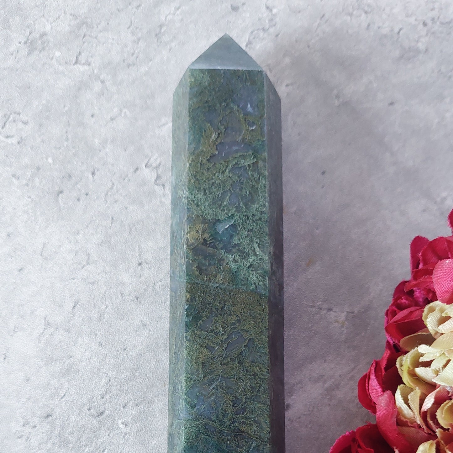 Sammalakaattitorni 23cm