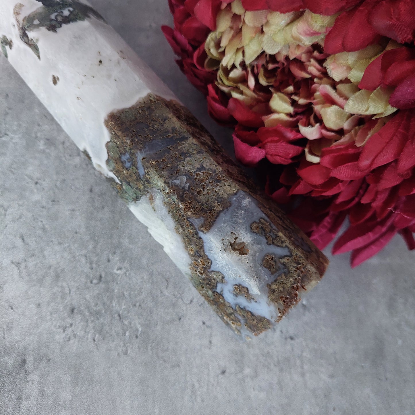 Sammalakaattitorni 23cm