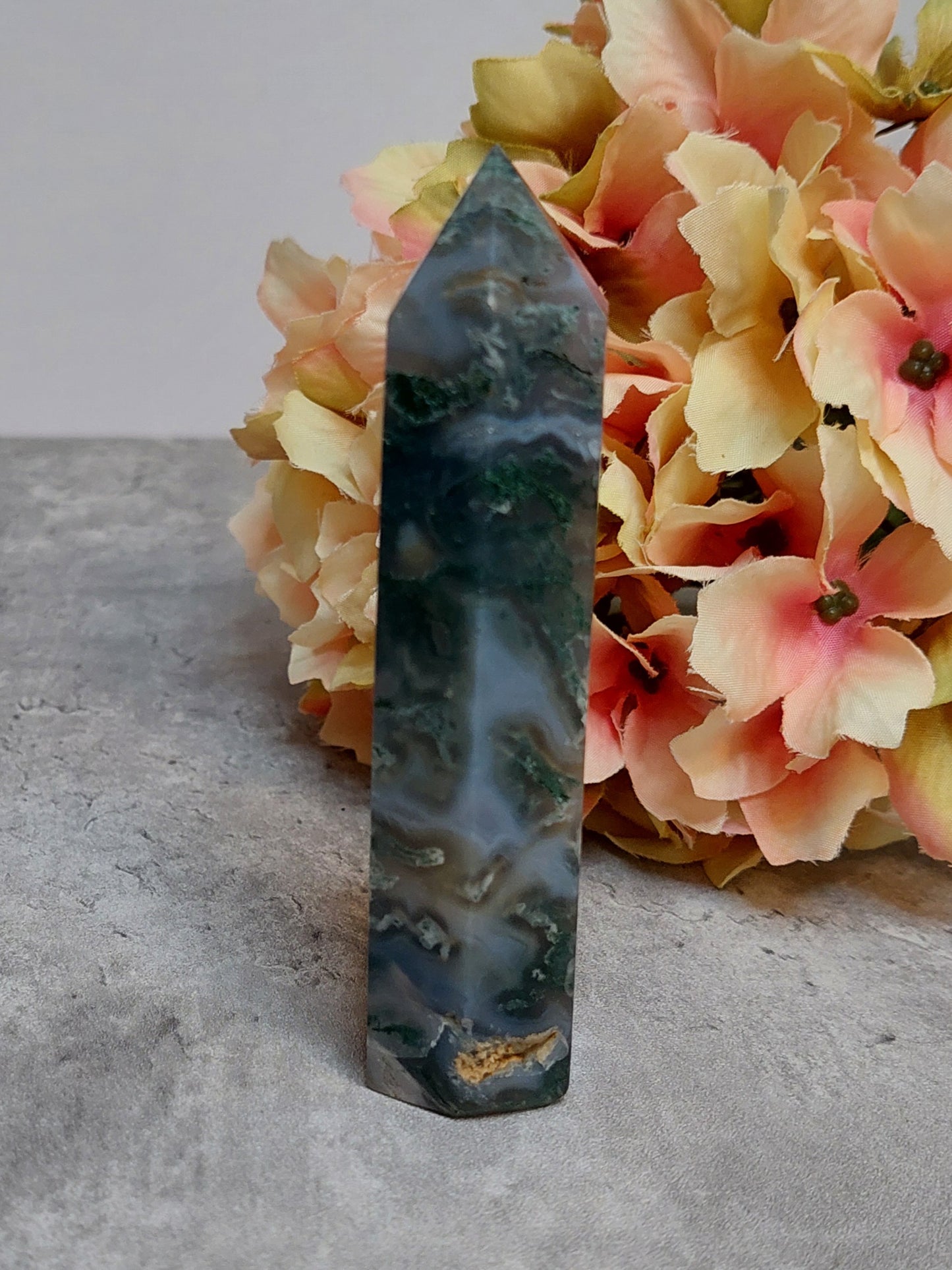 Torni, sammalakaatti 9,5cm