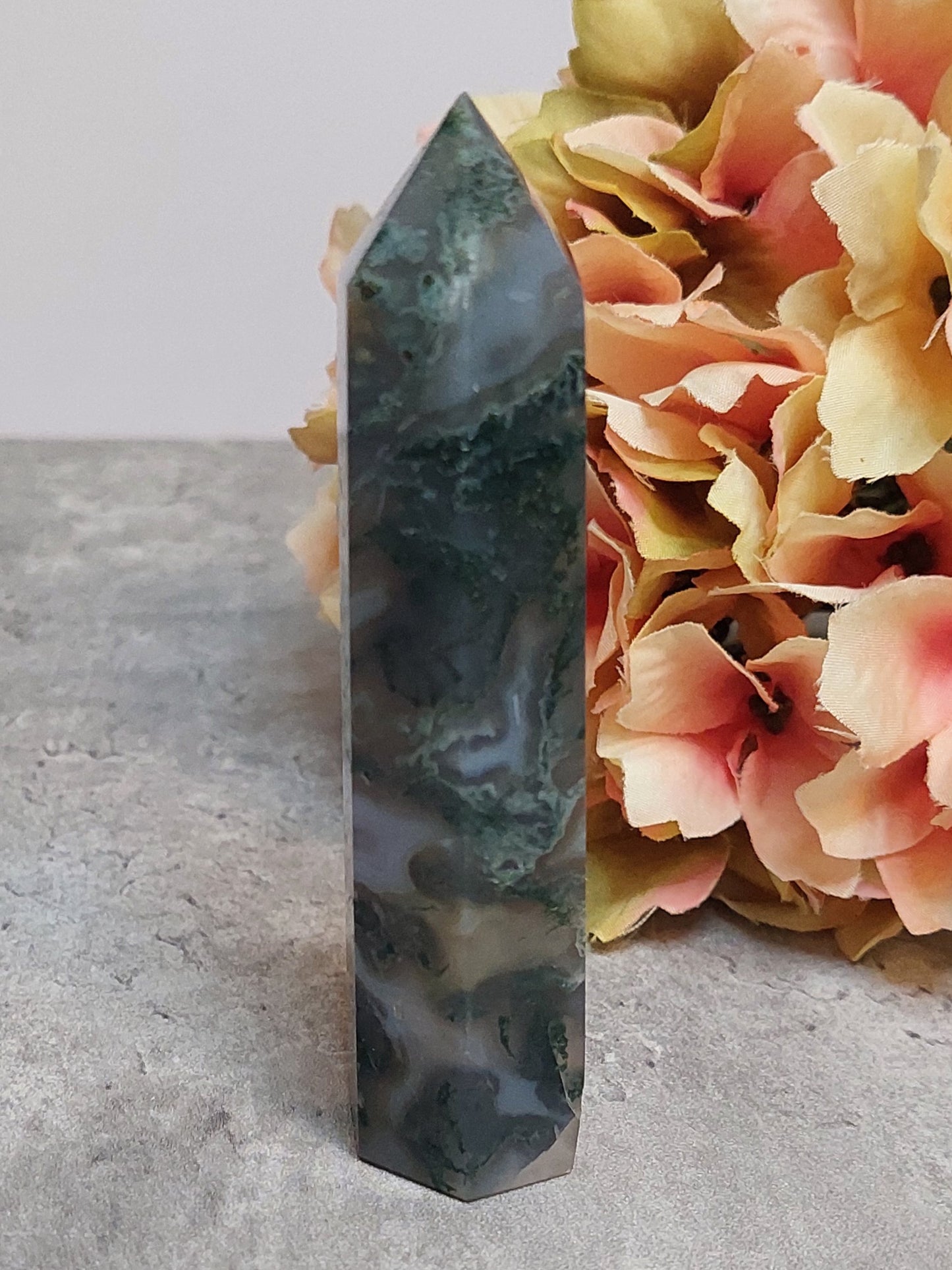 Torni, sammalakaatti 9,5cm