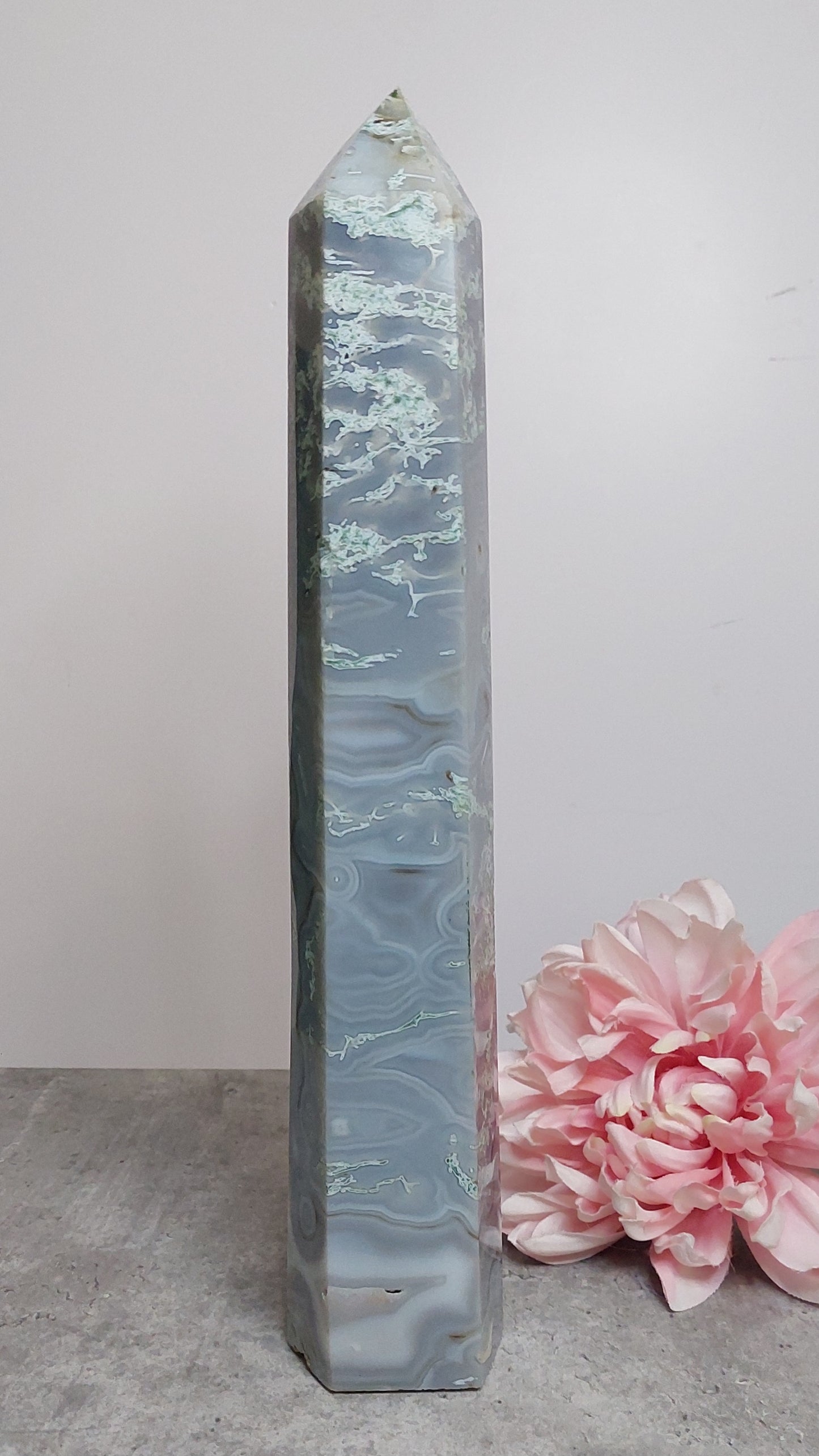 Torni, sammalakaatti druusilla 33cm