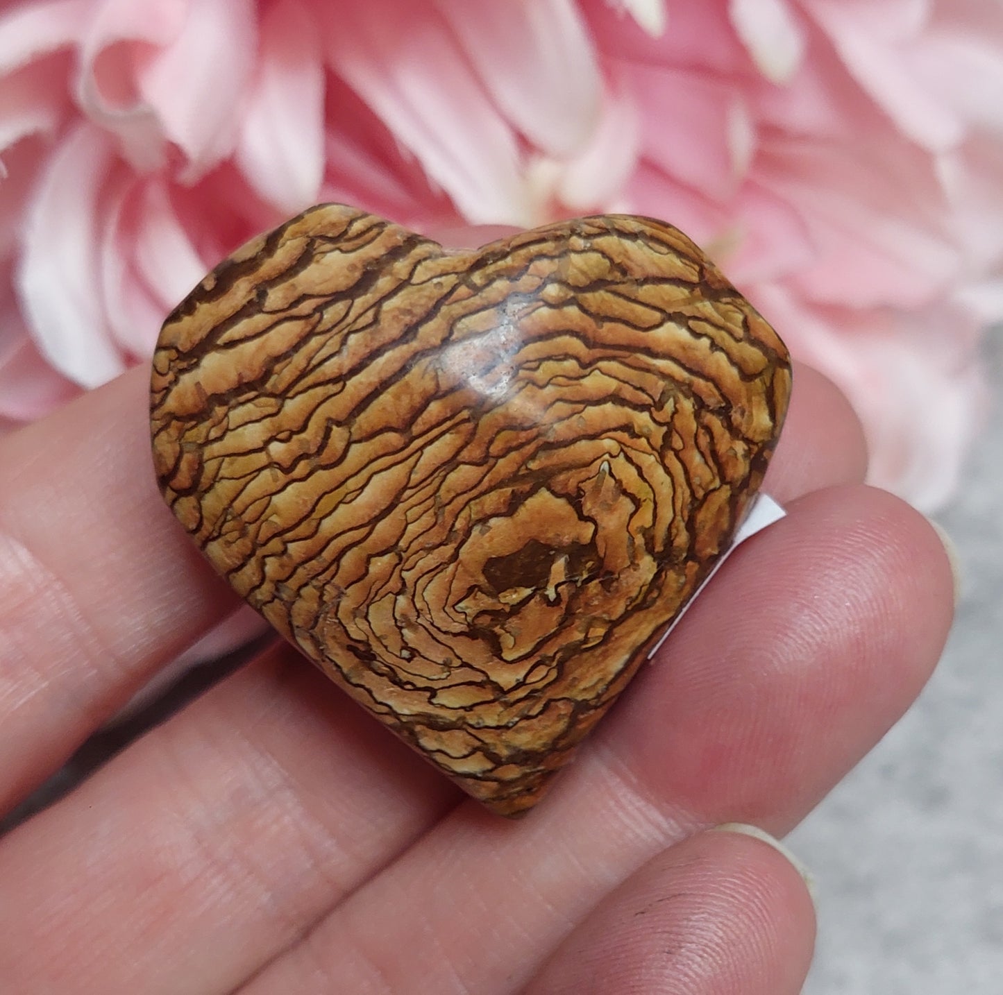 Sydän, wood jasper