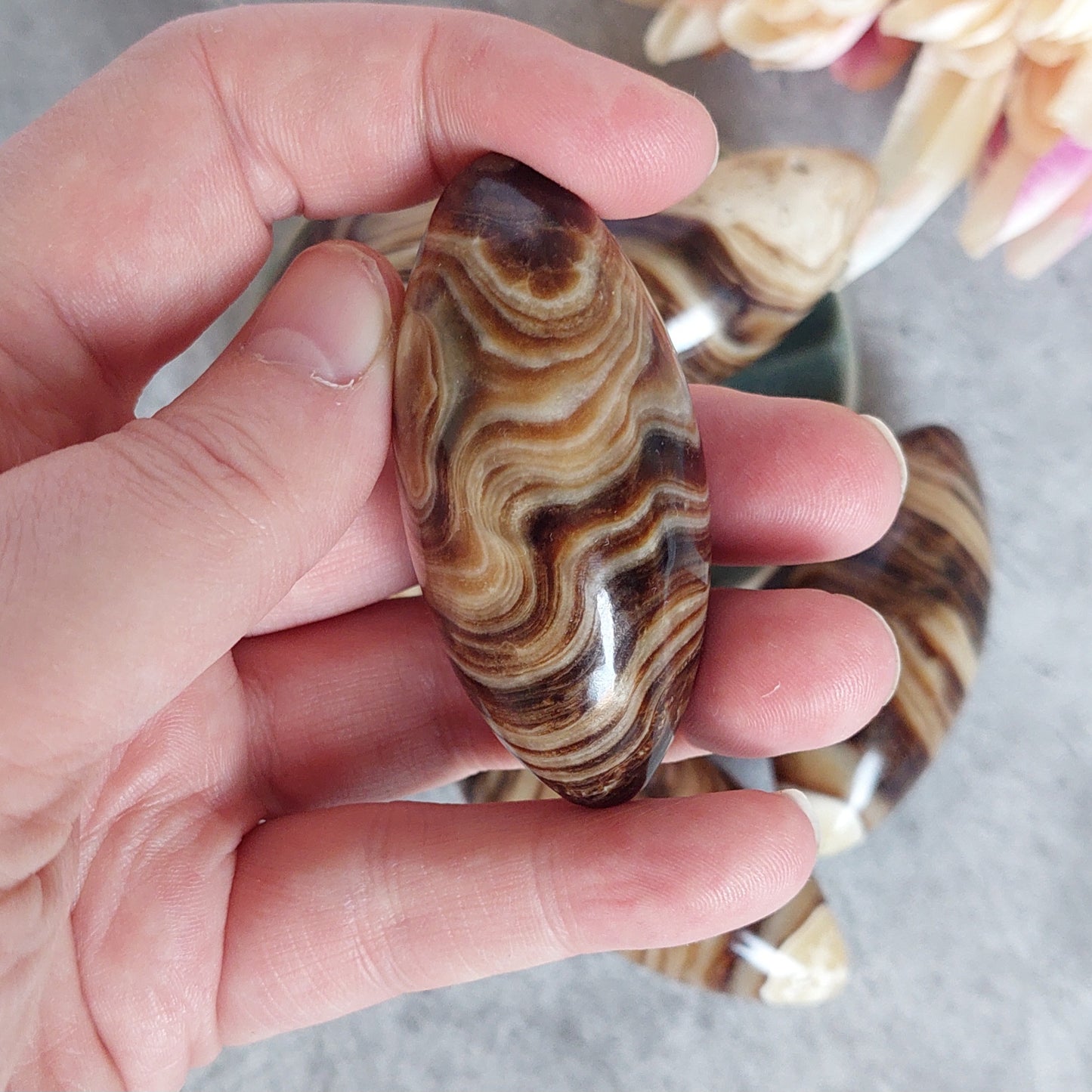 Shiva, Suklaakalsiitti (D7.2)