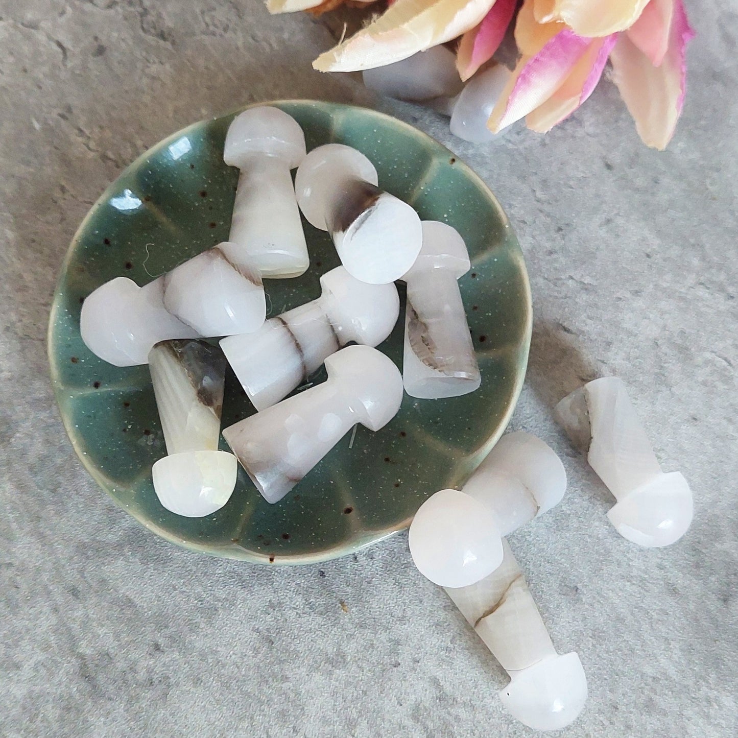 Sieni vaaleanpunainen kalsiitti (D2.1)