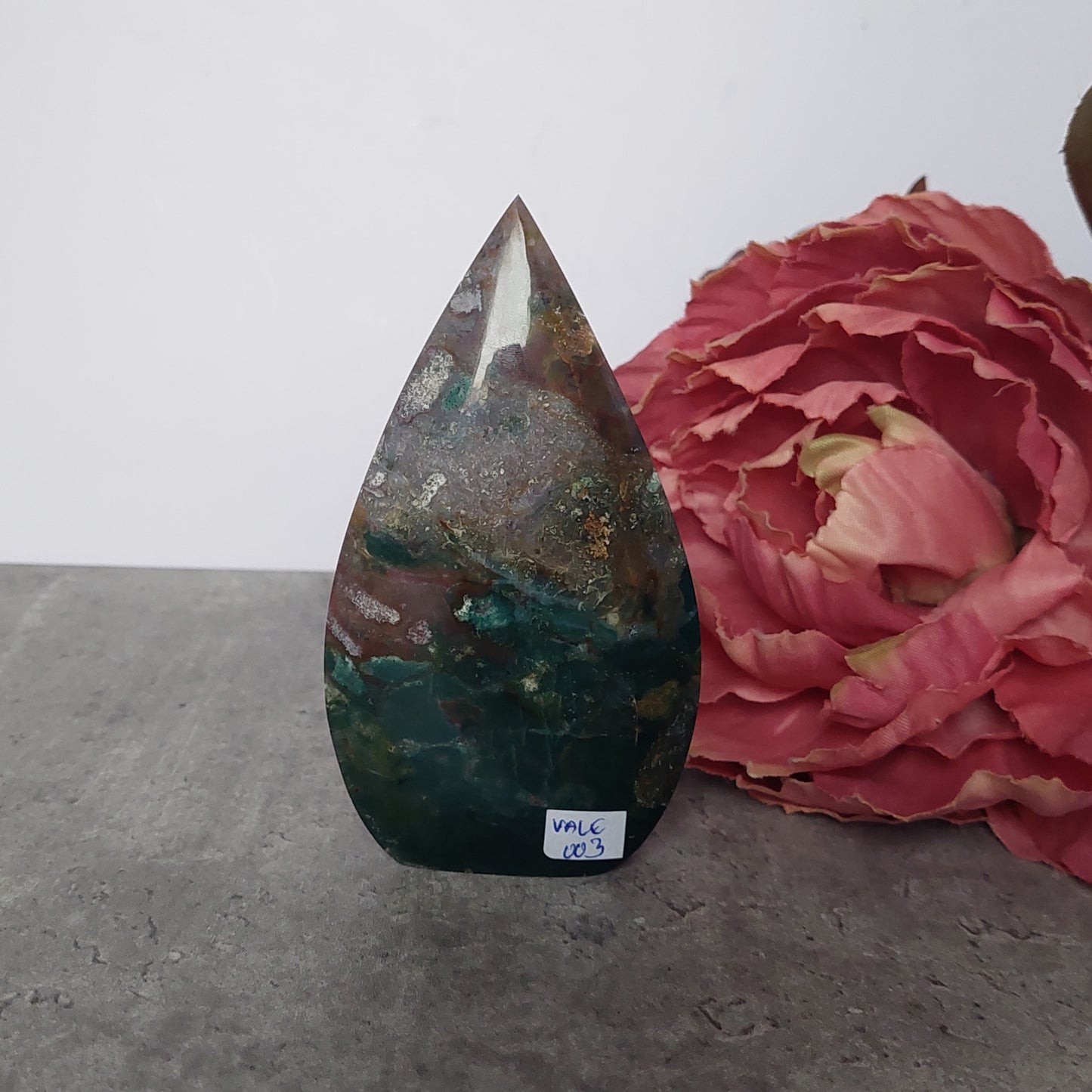 Valtamerijaspis lehti