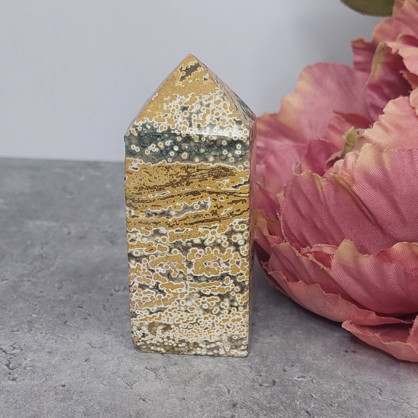 Torni, valtamerijaspis