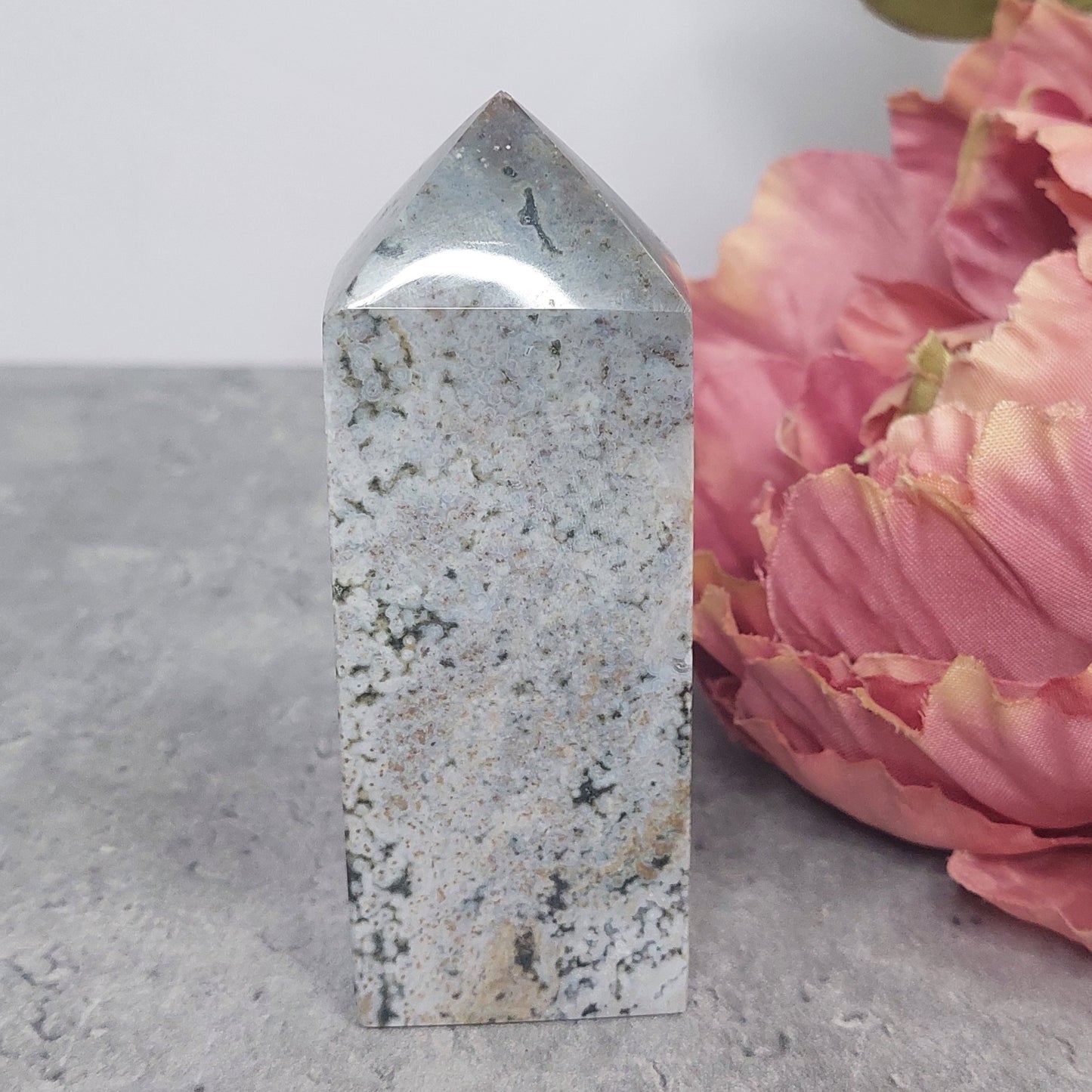 Torni, valtamerijaspis